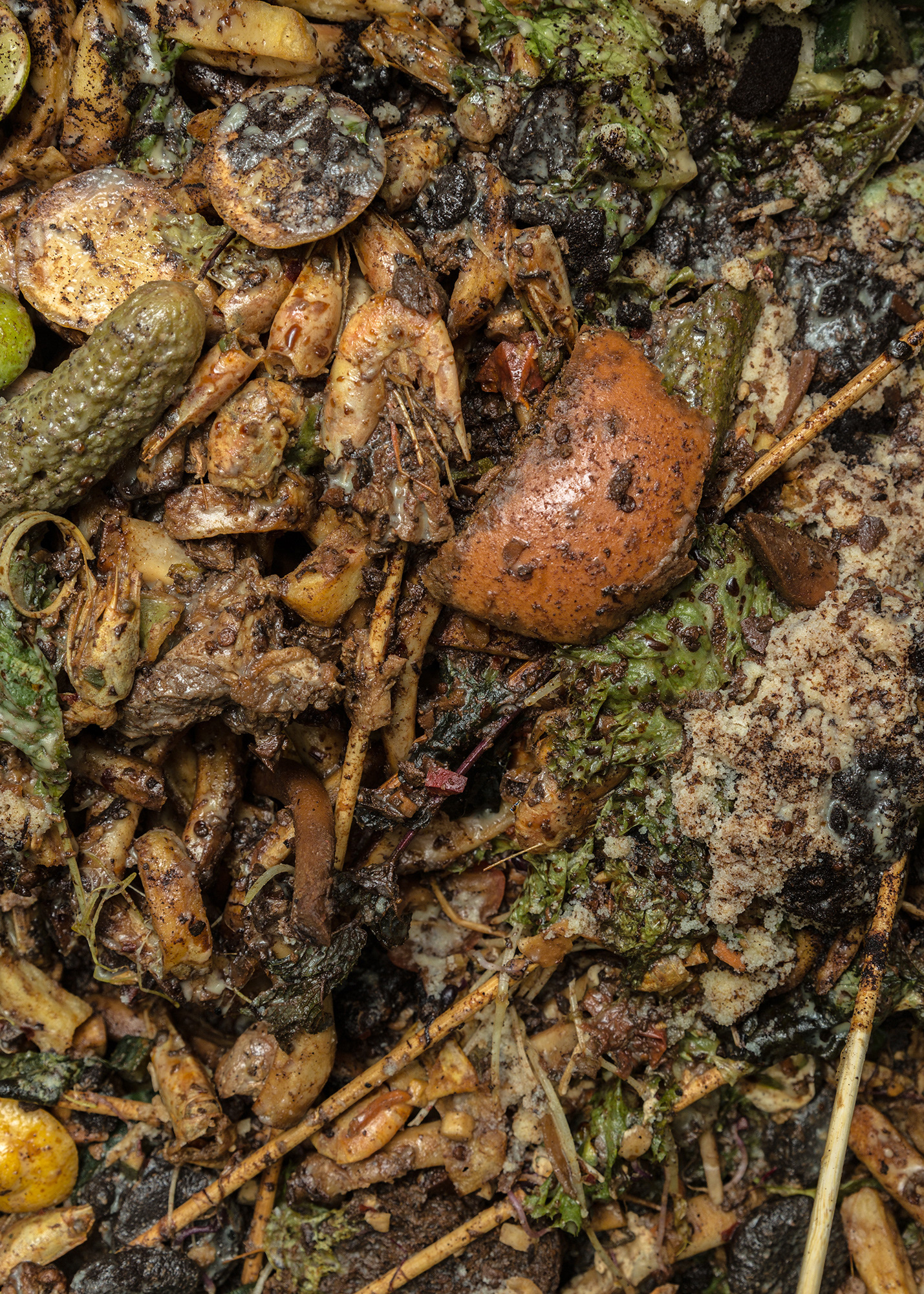 Monika Balu Food waste trash photography