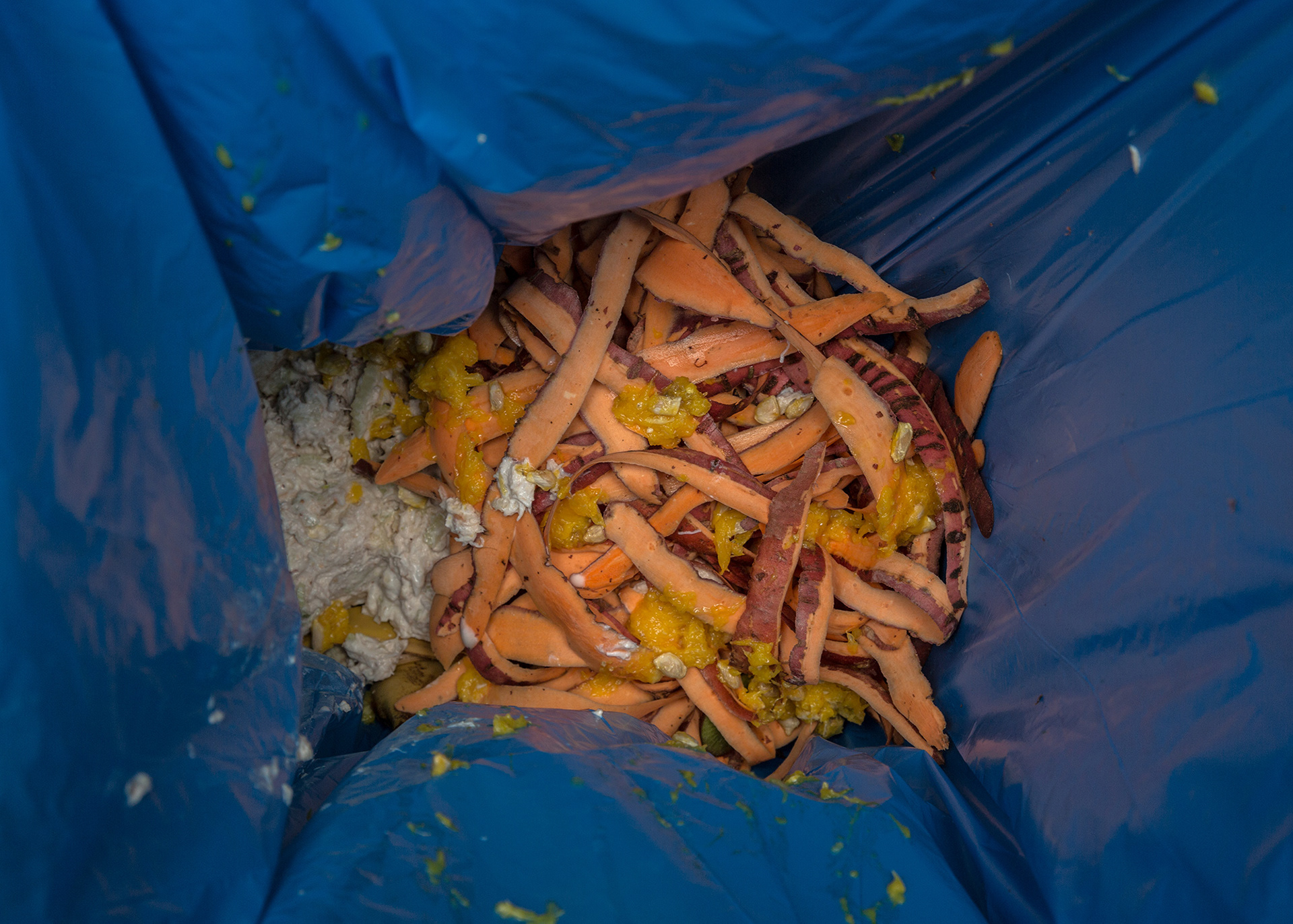 Monika Balu Food waste trash photography