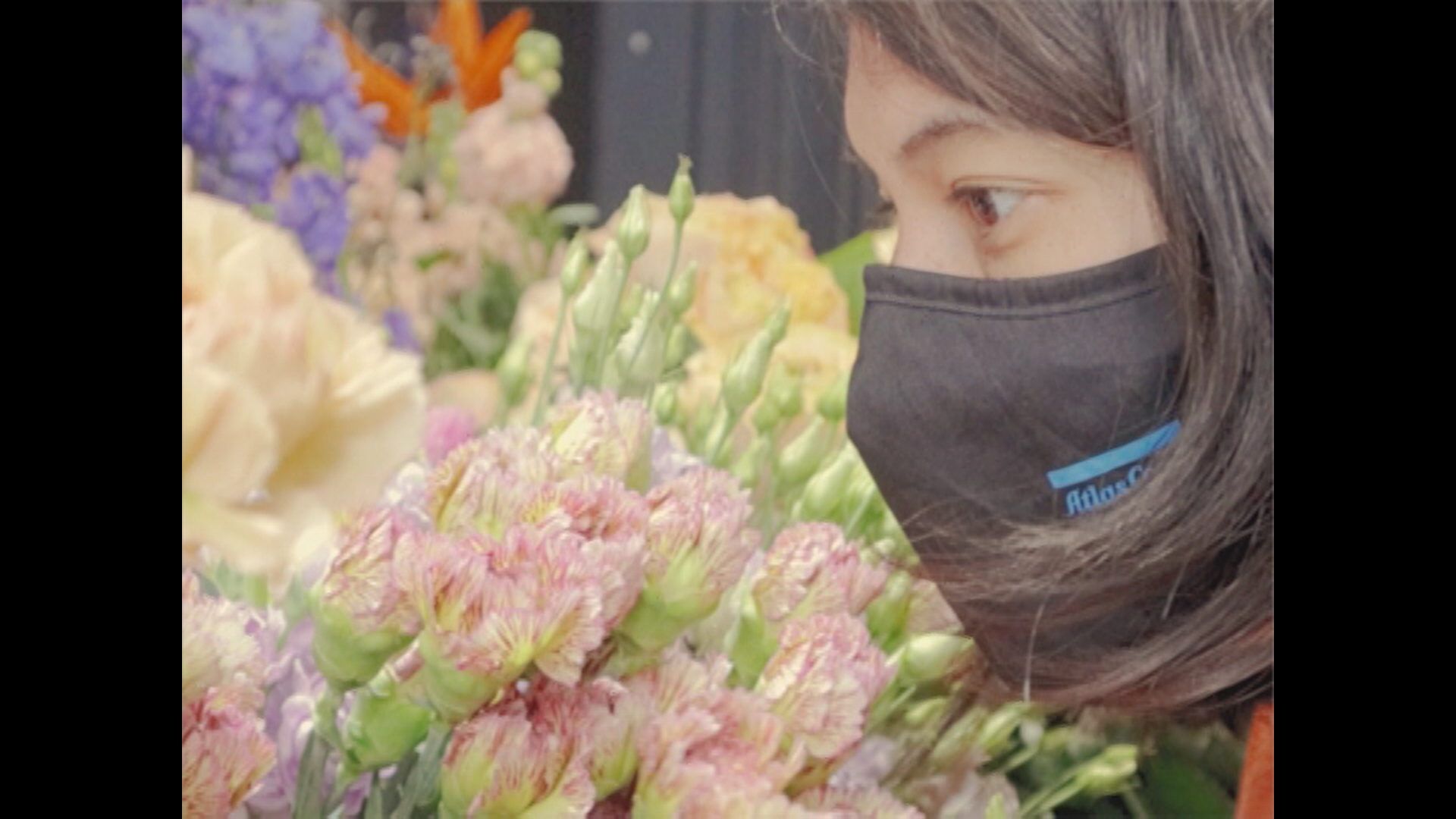 'COVERT' short about what's hidden inside
