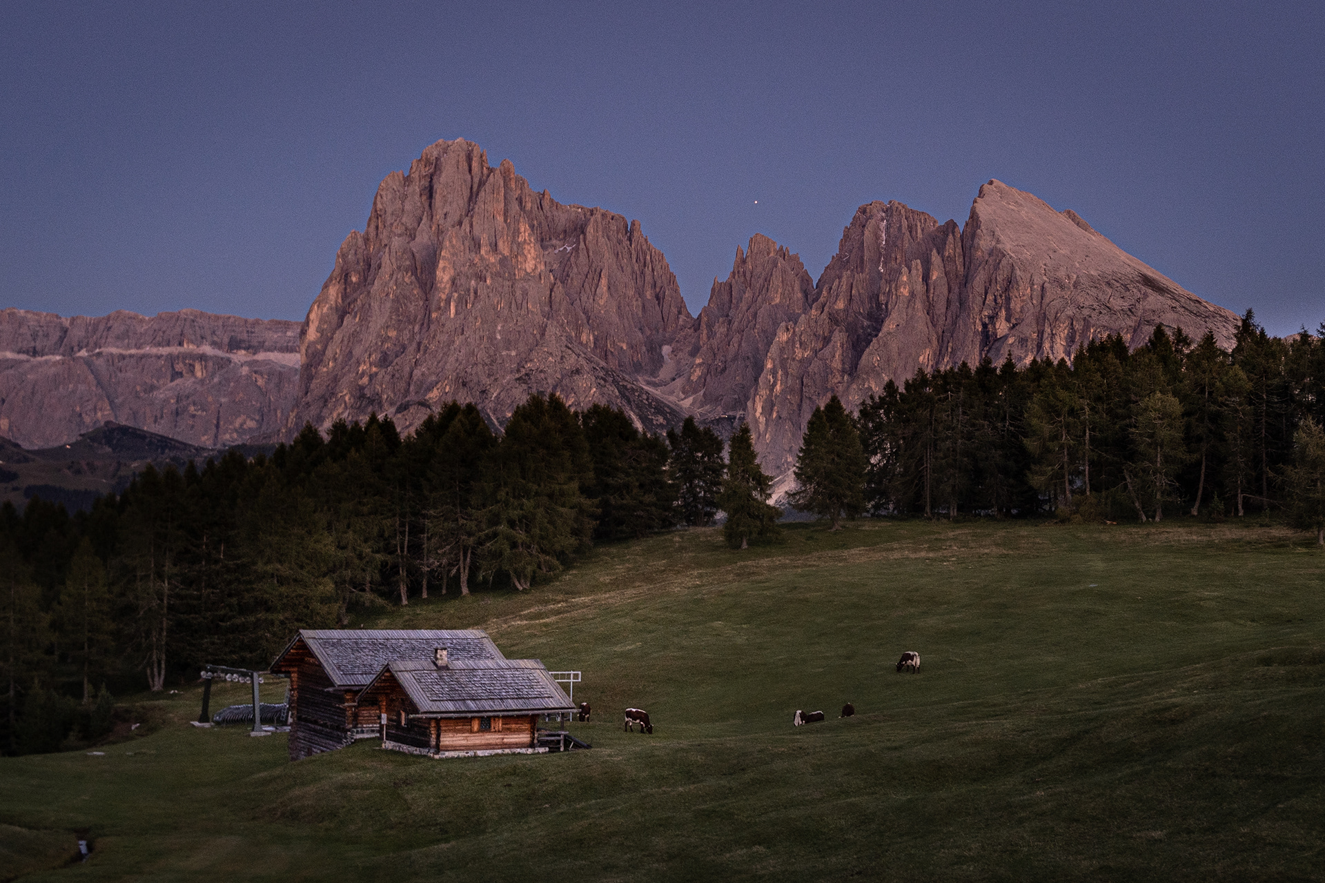 Alpe di Siusi, Dolomites, Italy