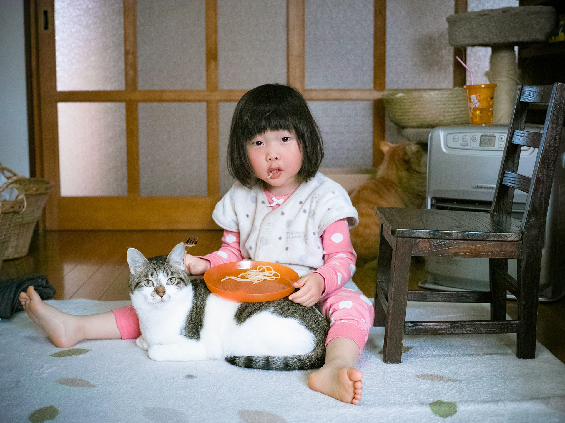 猫の上にご飯をのせて食べる女の子