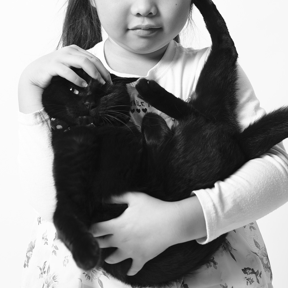 抱っこ黒猫