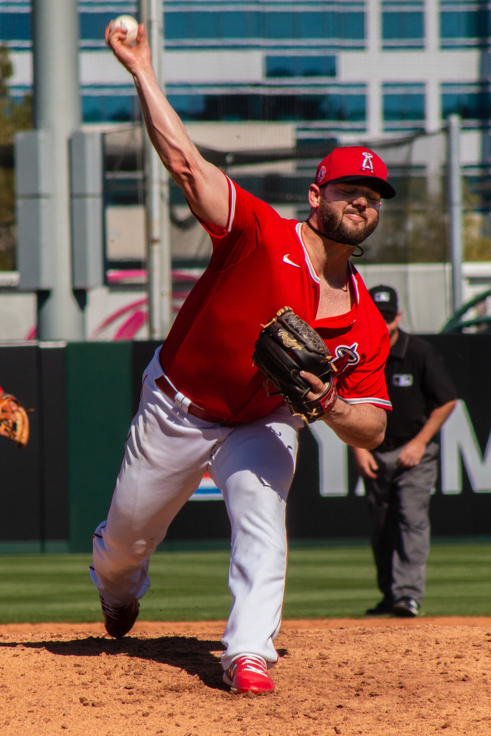 Cam Bedrosian