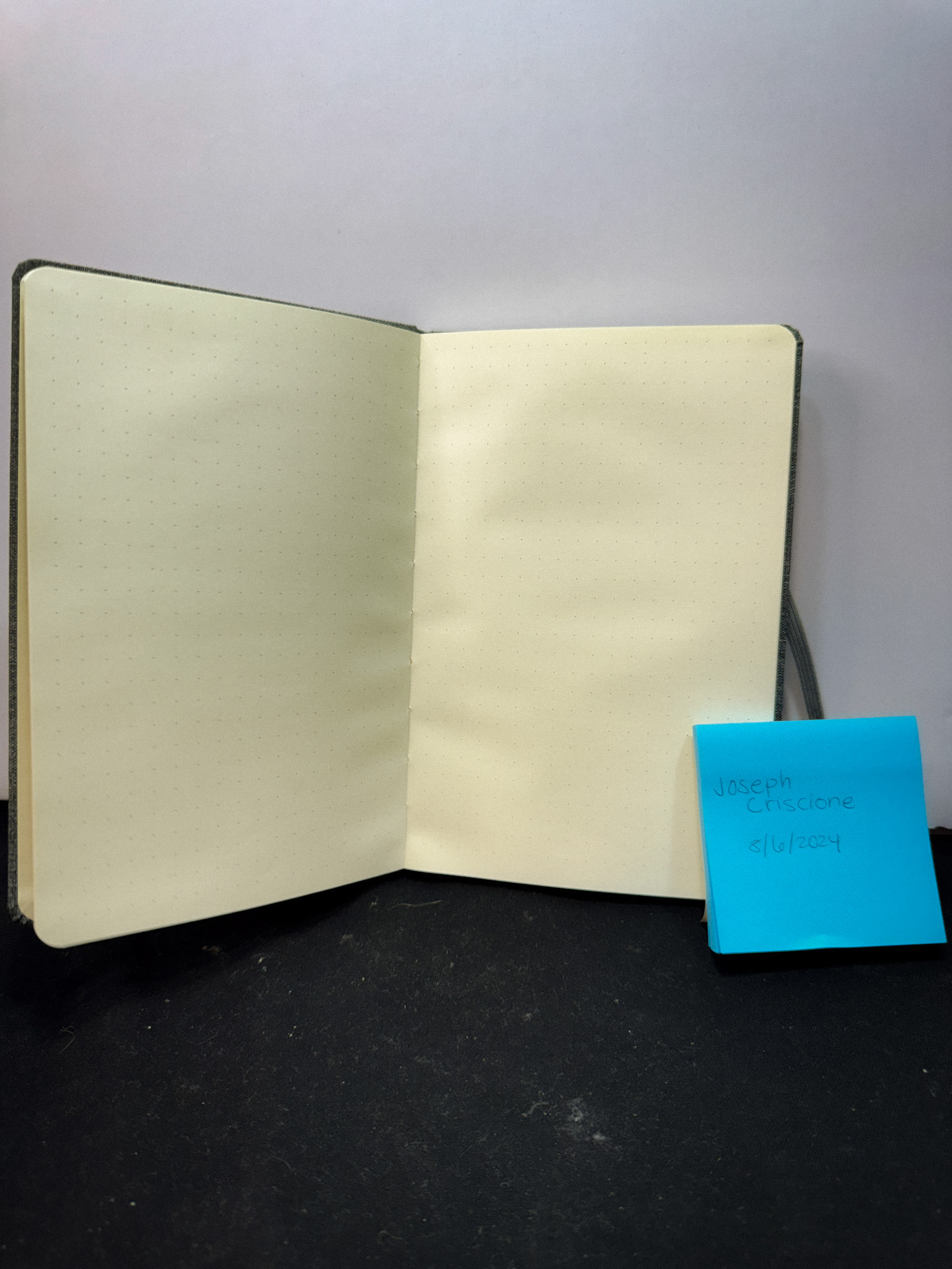 $15/ea • Qty: 1 (Exclusive Employee Grid Notebook)