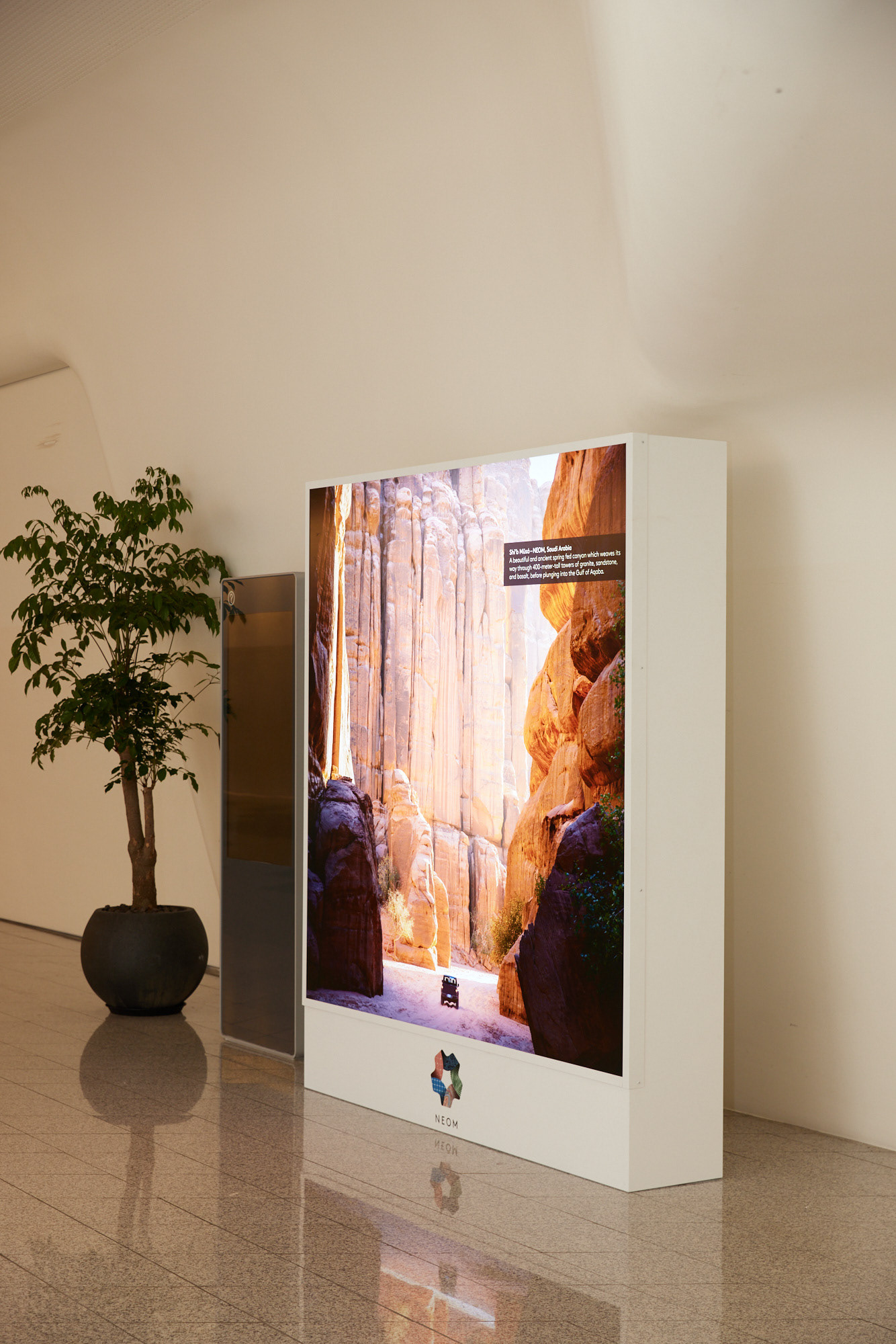 Light Box Graphic