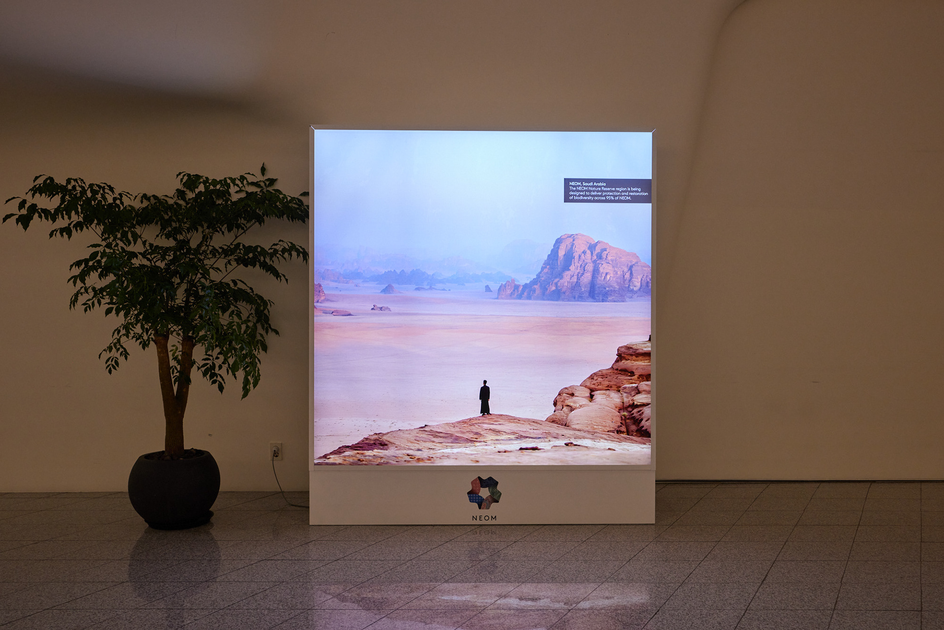 Light Box Graphic