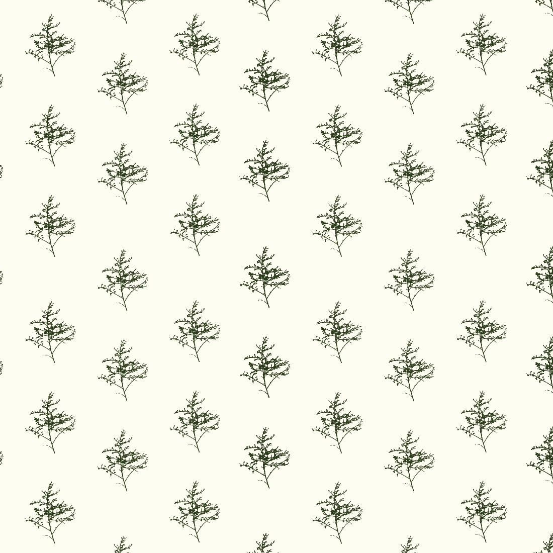 Sprigs Cream