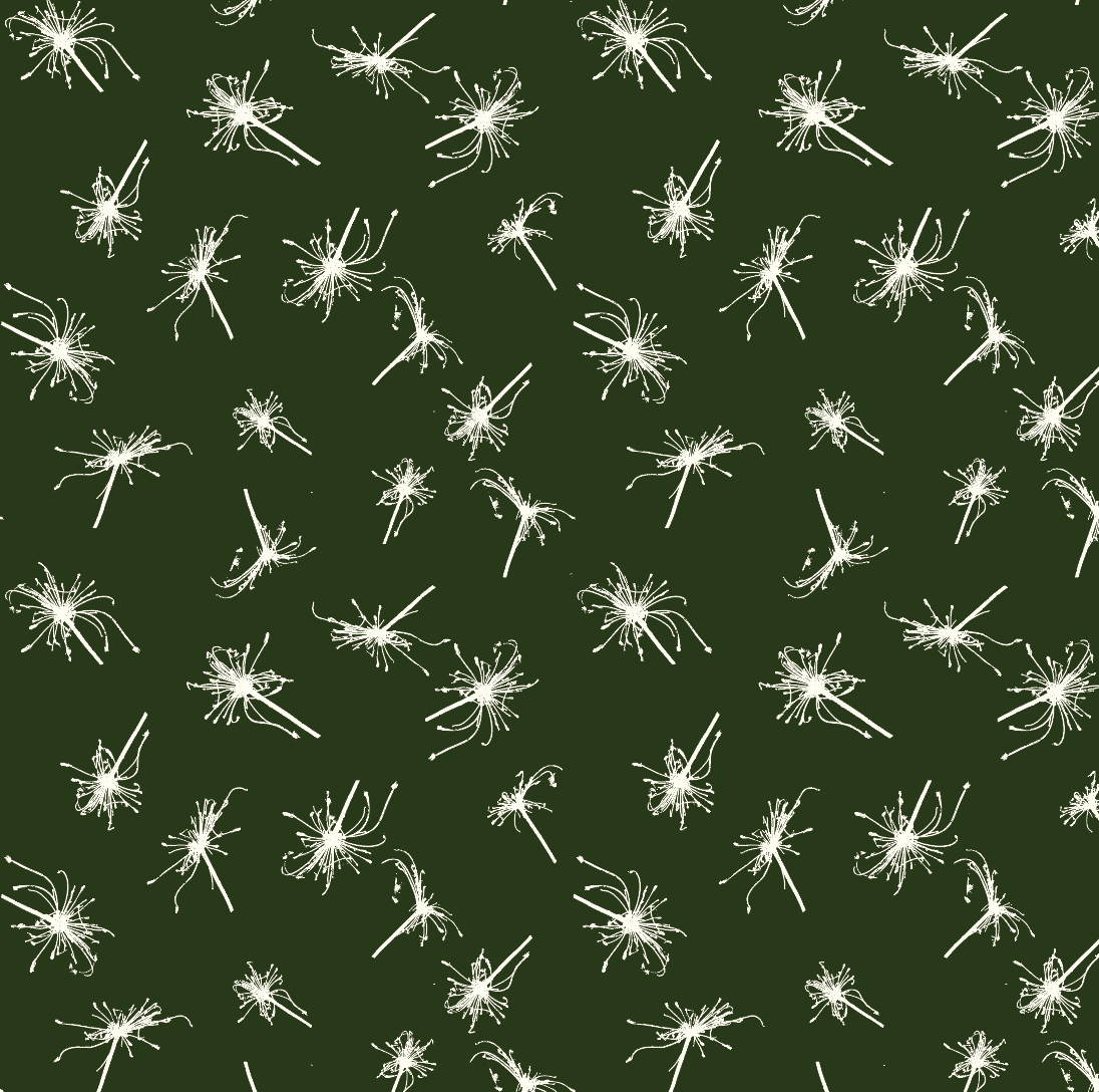 Wild Carrot Hunter