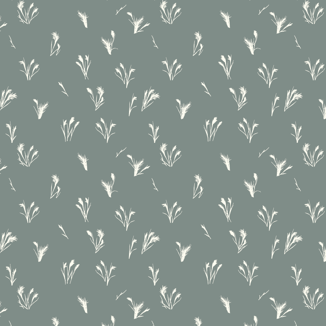 Downy Brome Sky