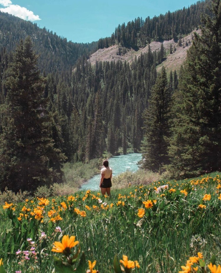 Teton National Forest, Wyoming