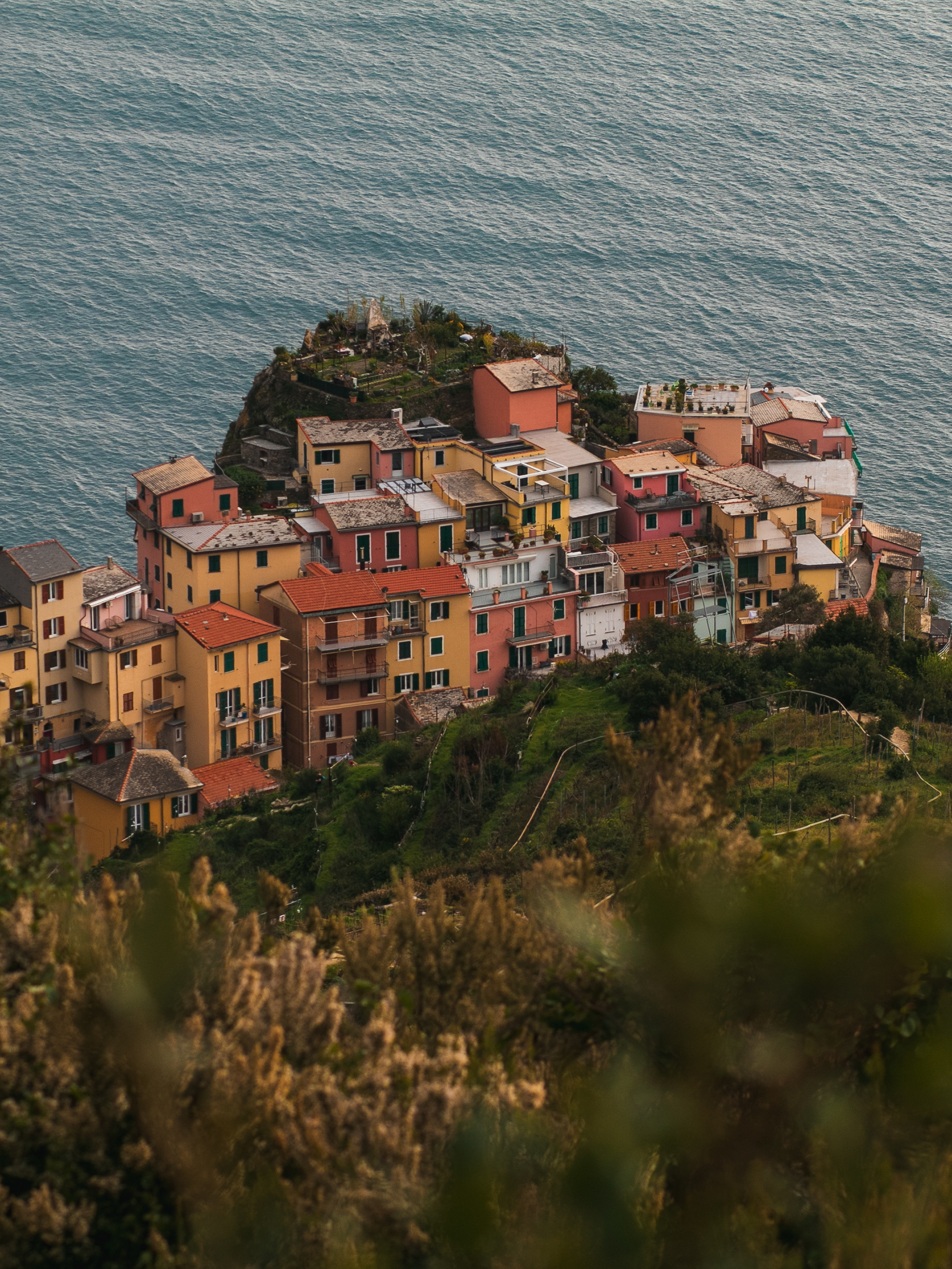 Manarola