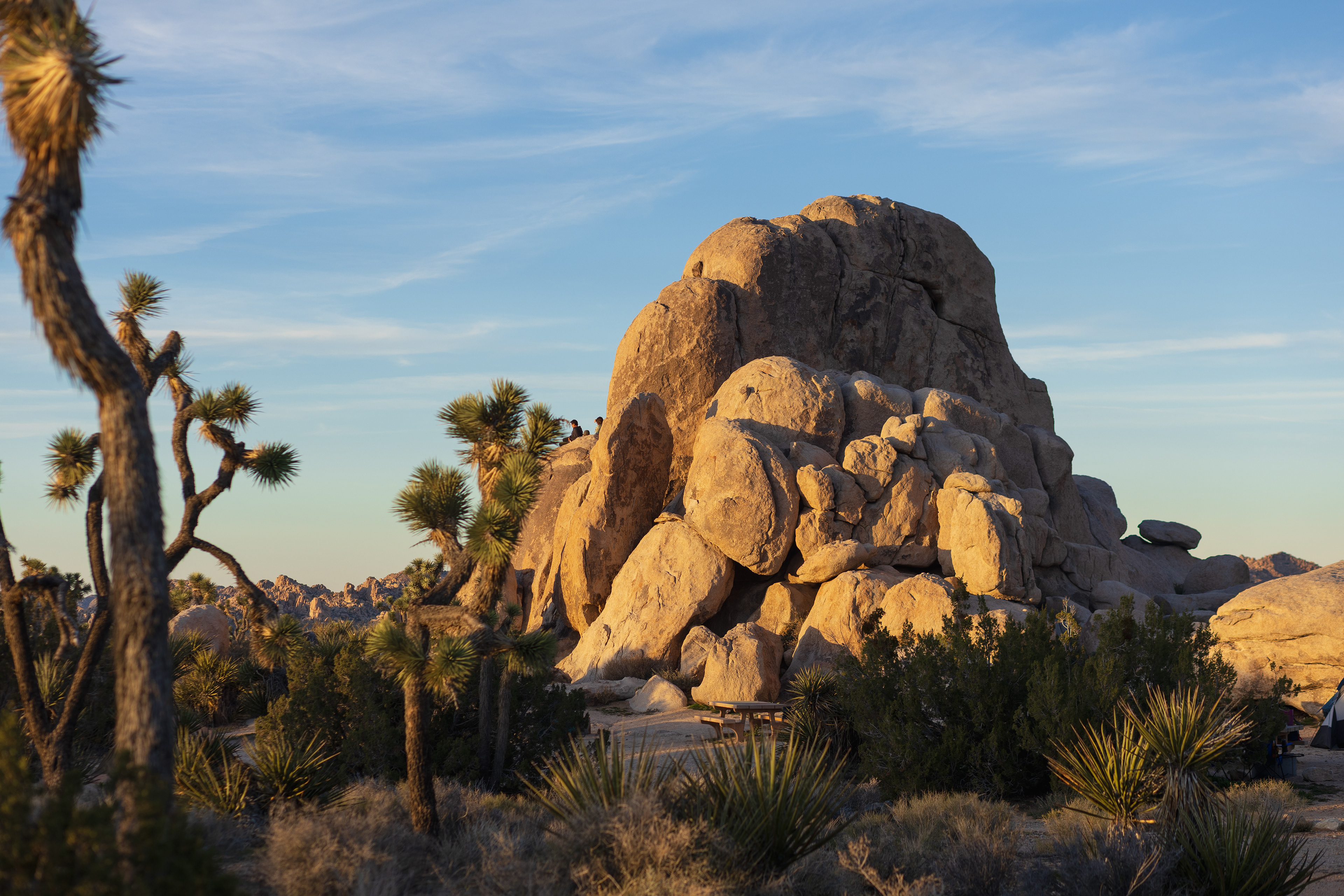 Joshua Tree National Park