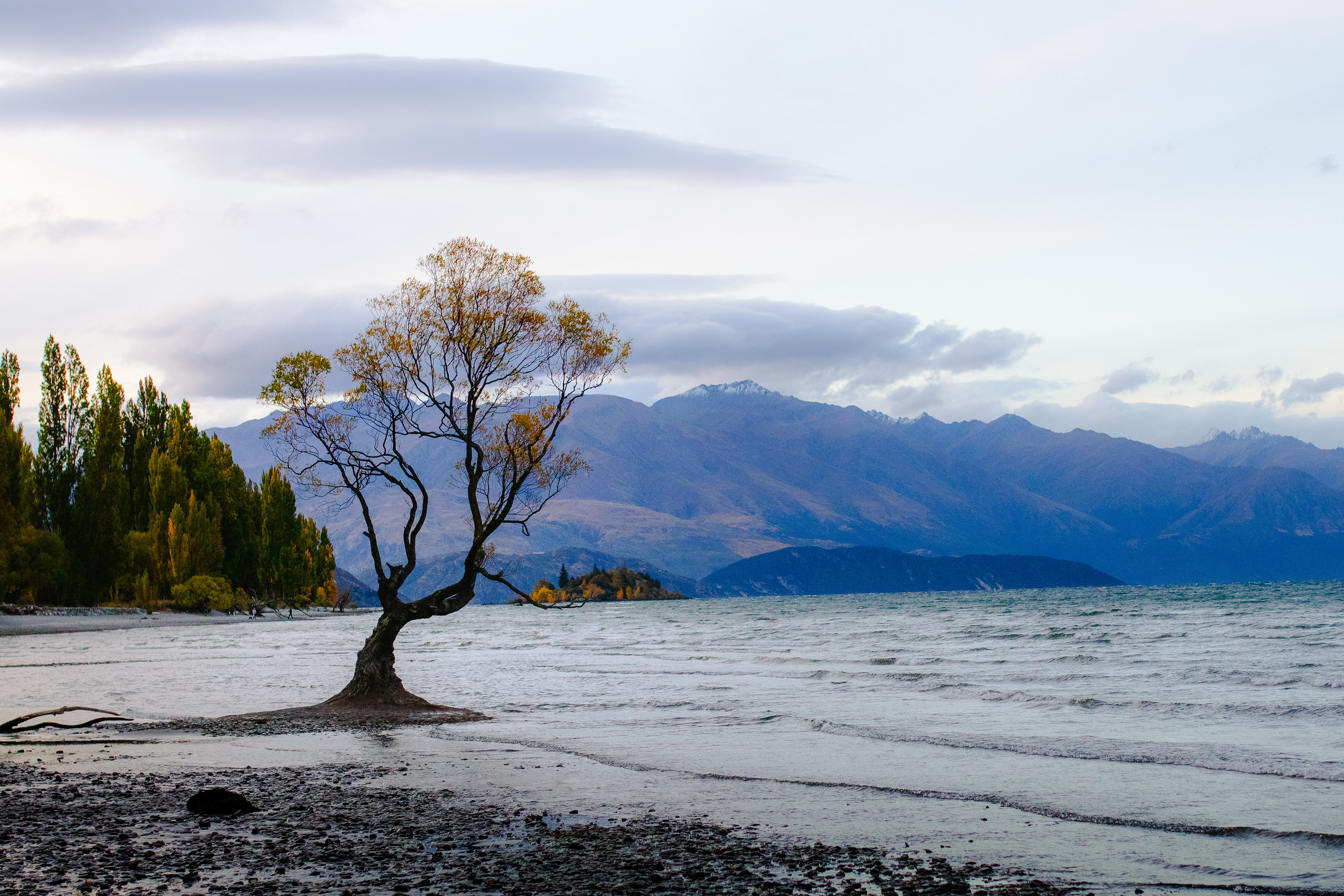 Wanaka