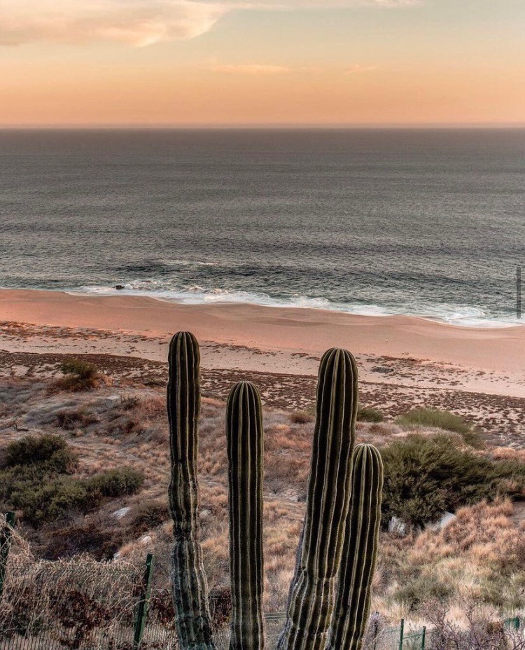 Cabo San Lucas, Mexico
