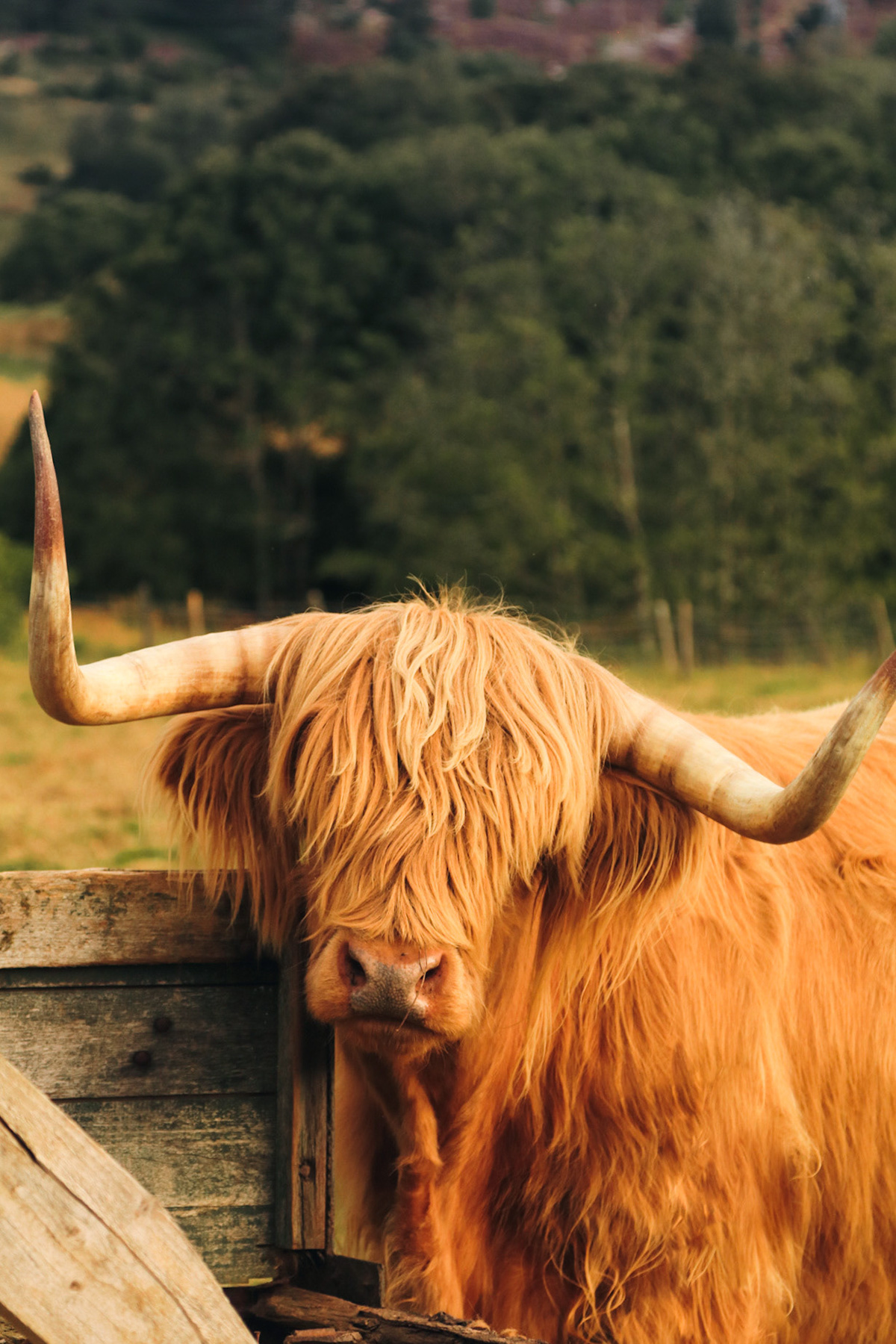 Fort Augustus, United Kingdom