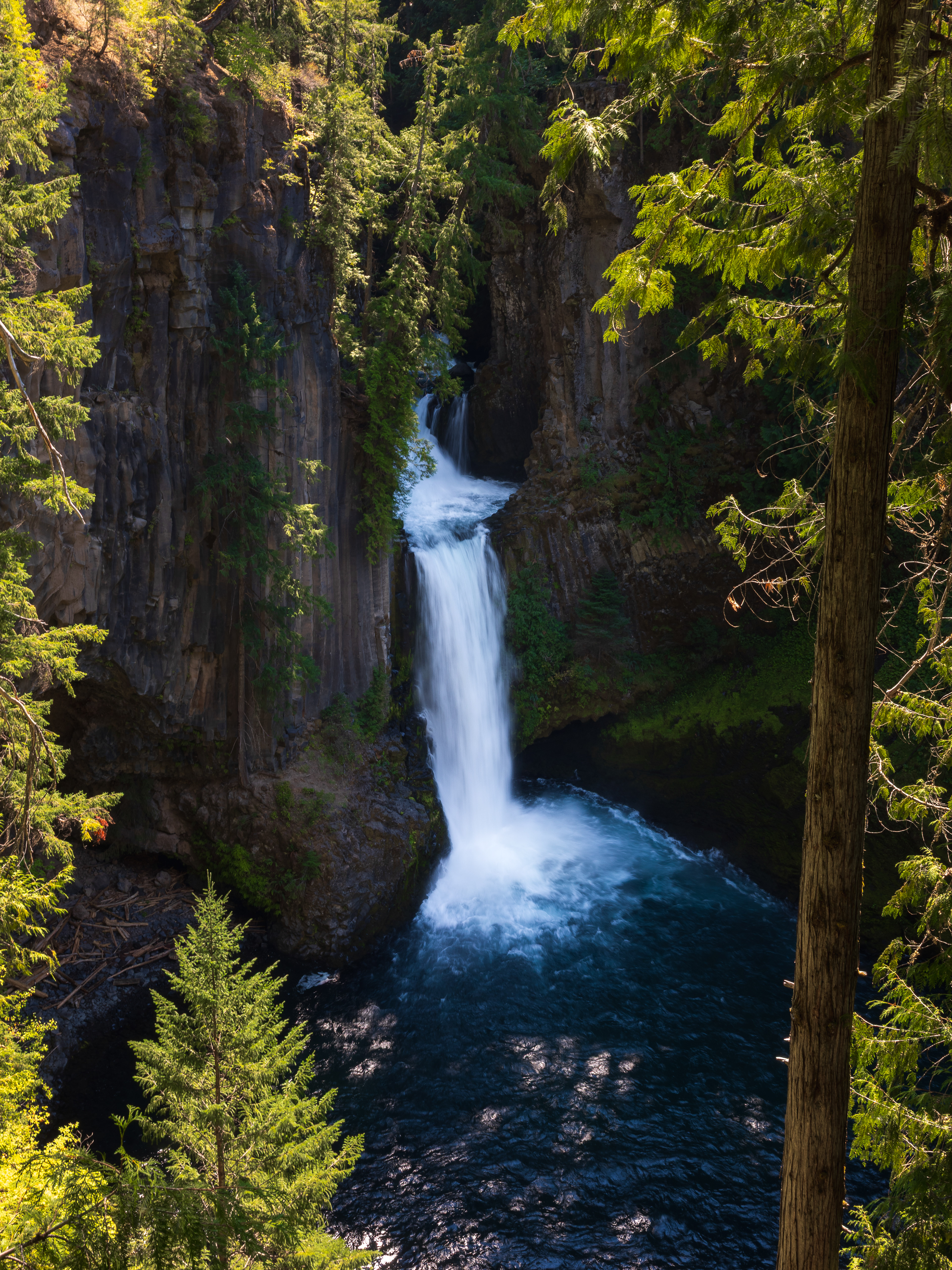 Umpqua National Forest, Oregon