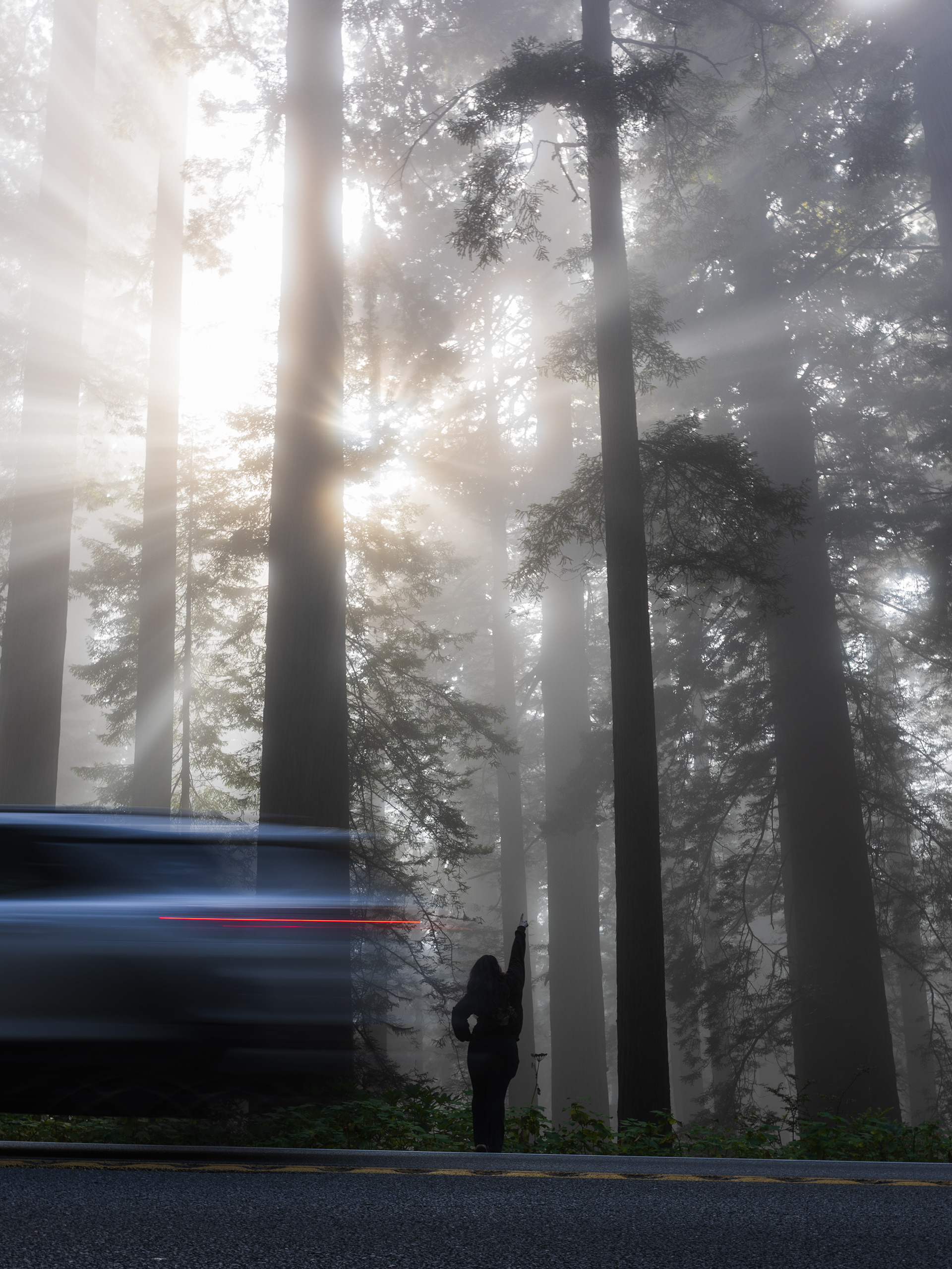 Del Norte Coast Redwoods State Park