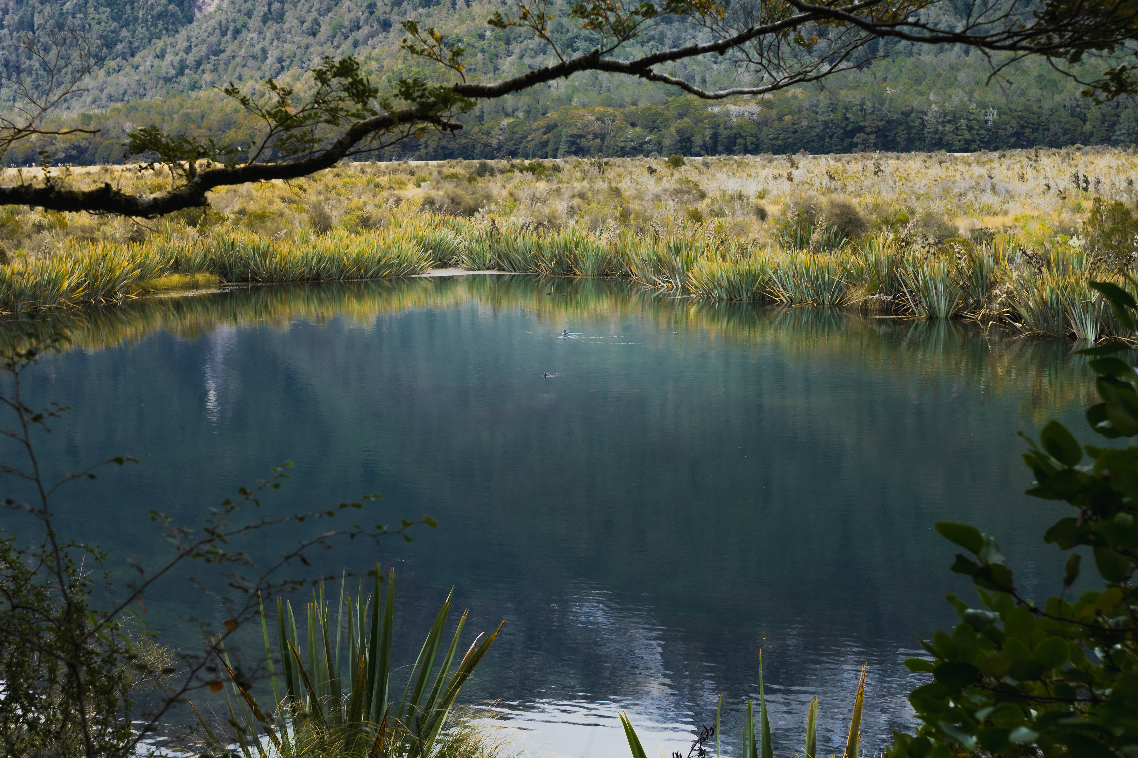 Mirror Lakes