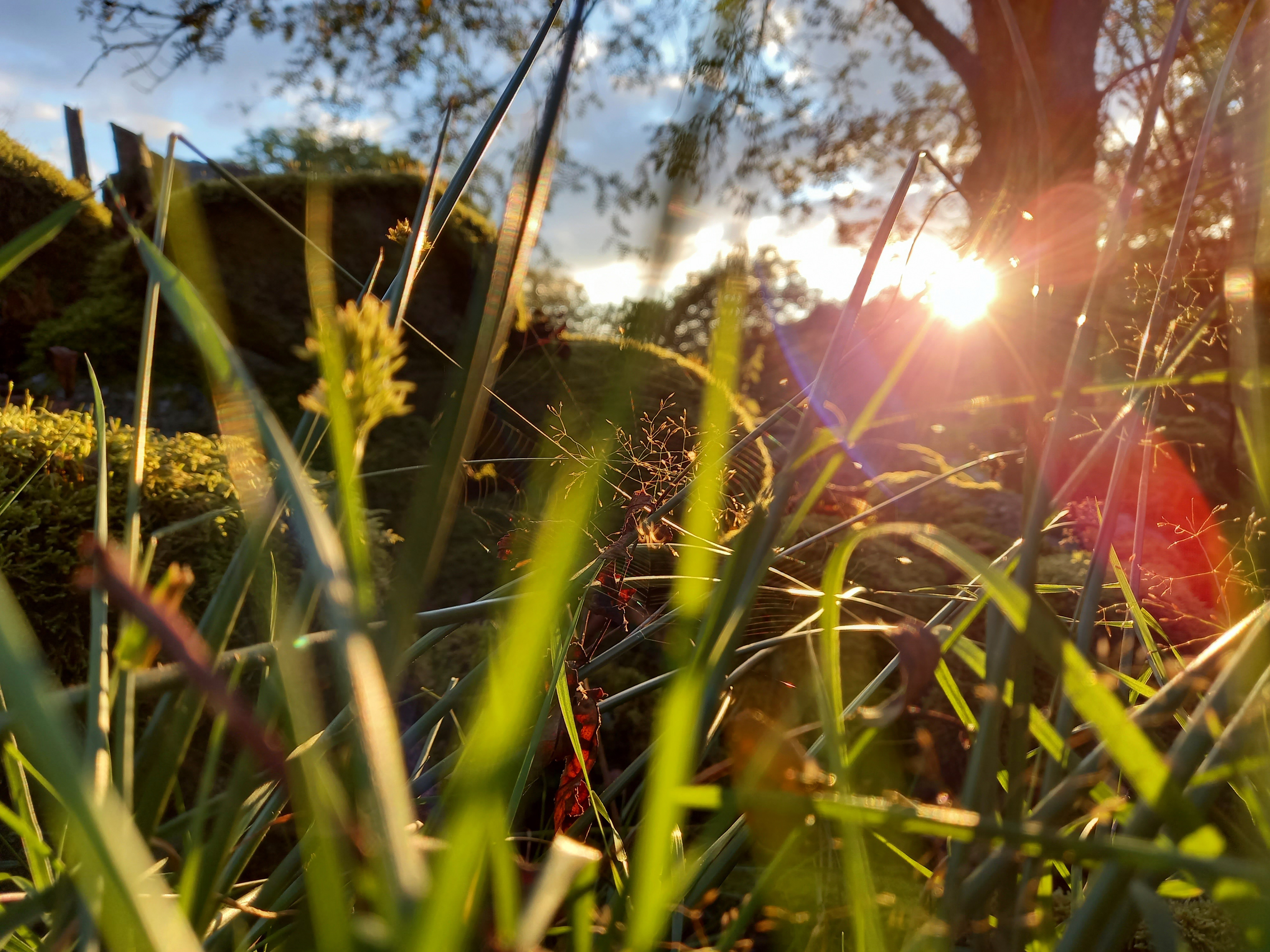 Photo de foret crée par Beevel