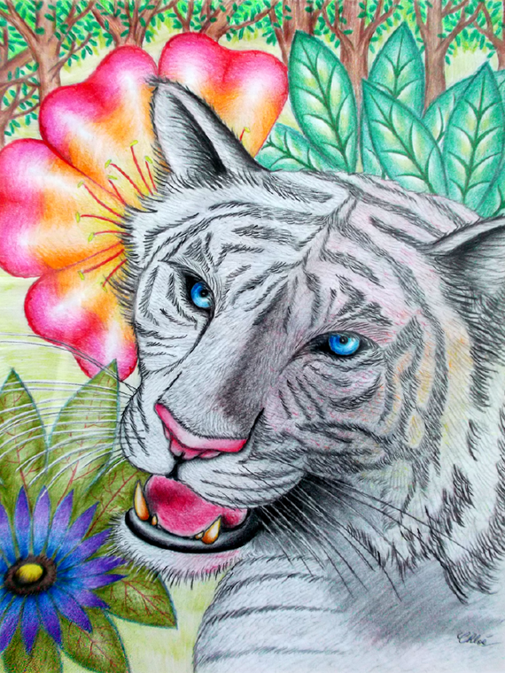 illustration de tigre