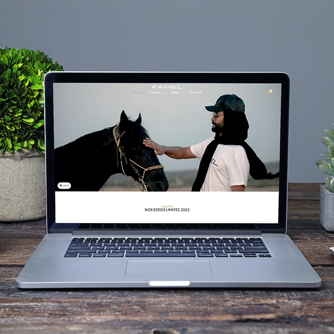 Site internet Fahel