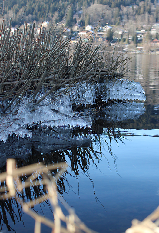 Photo de glace crée par Beevel
