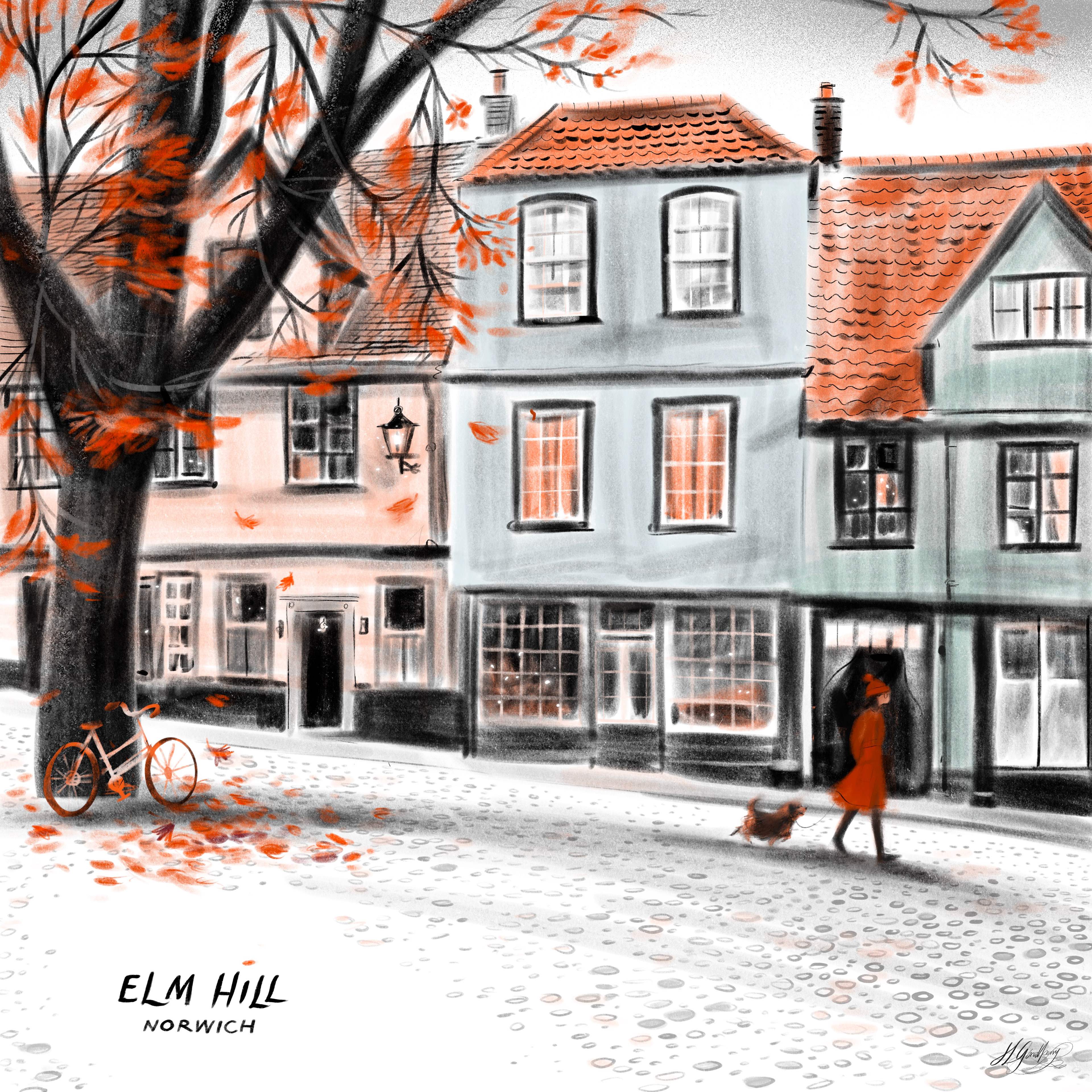Elm Hill, Norwich
