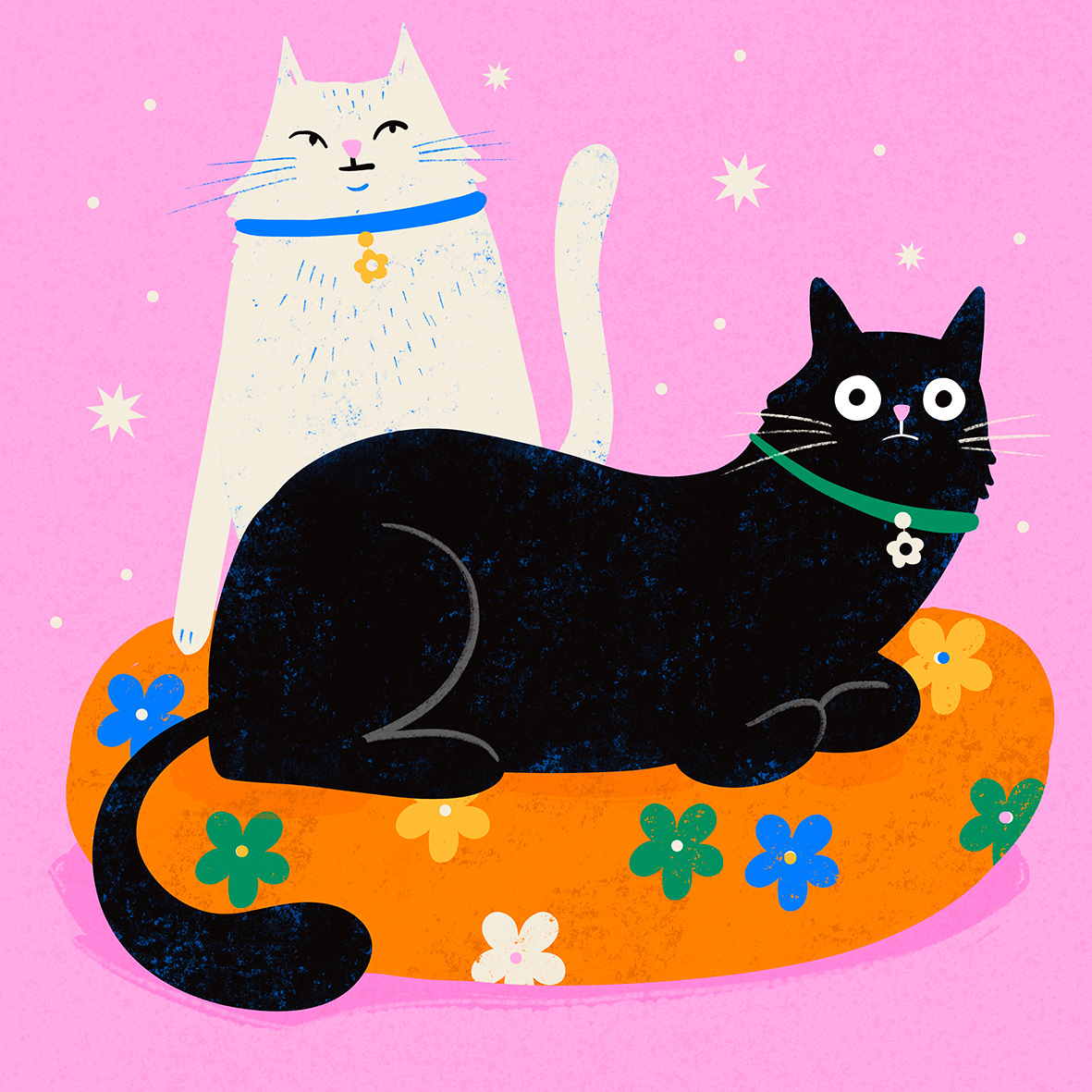 Two Cats sat