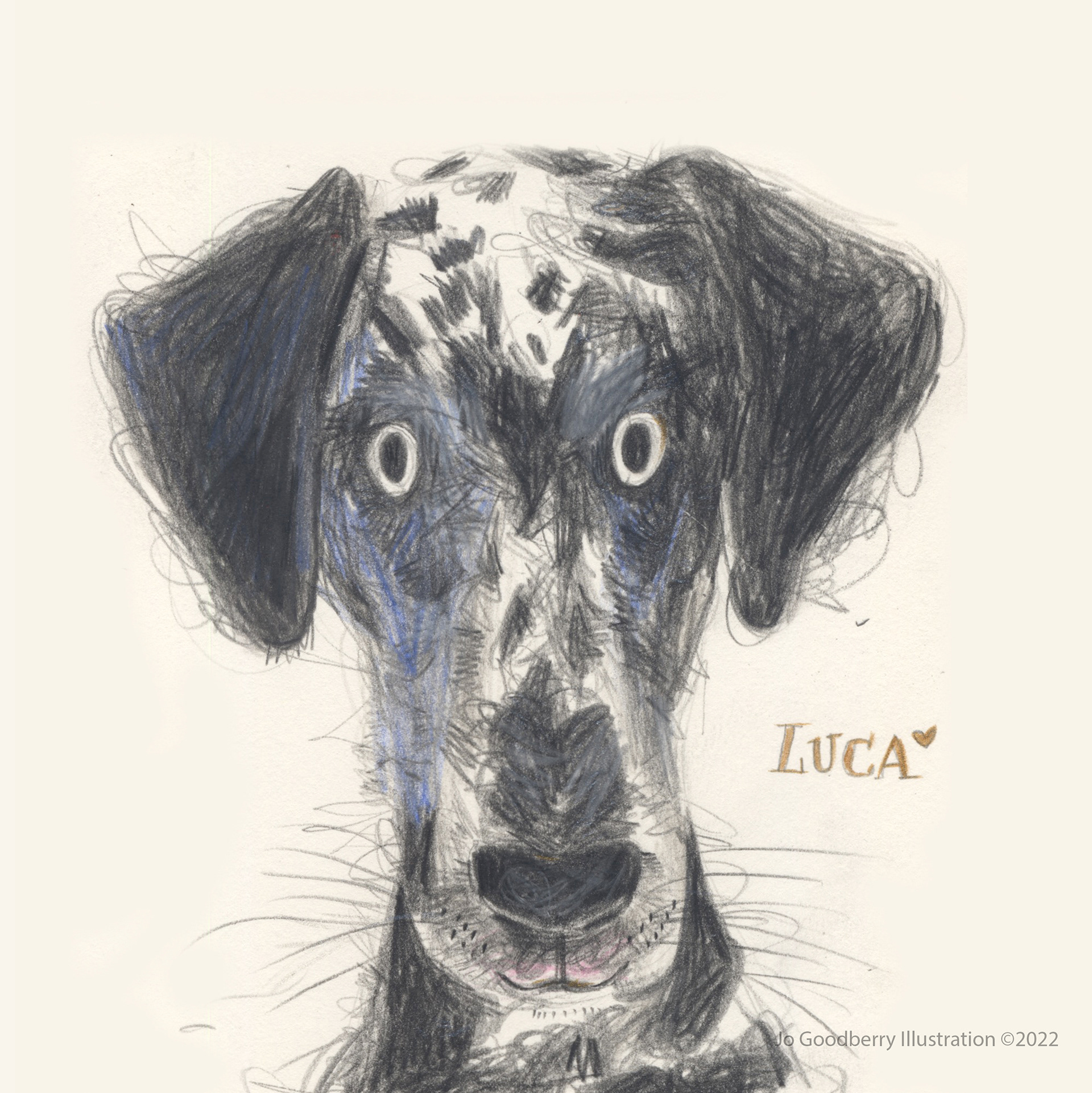 Luca the Dalmation