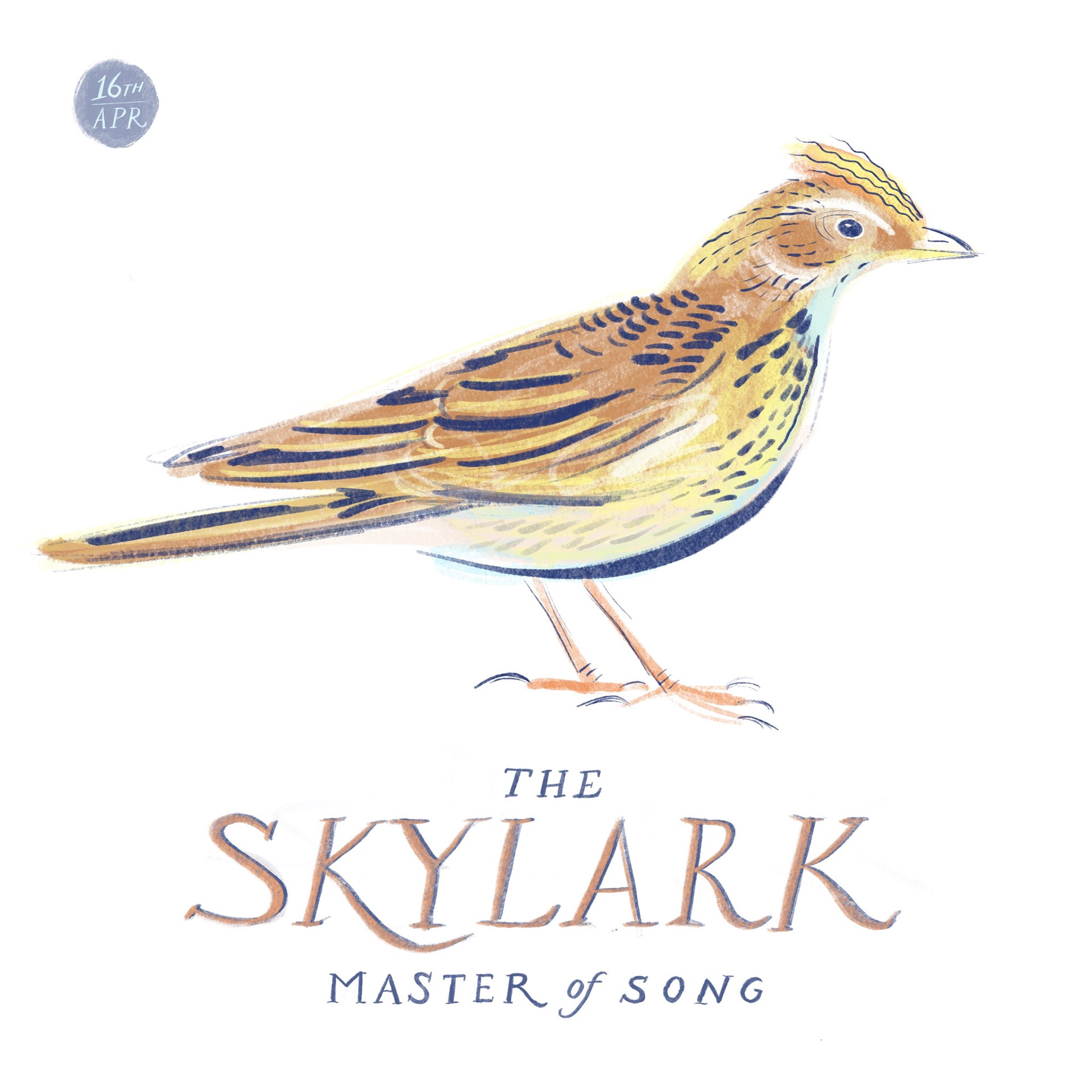 Skylark