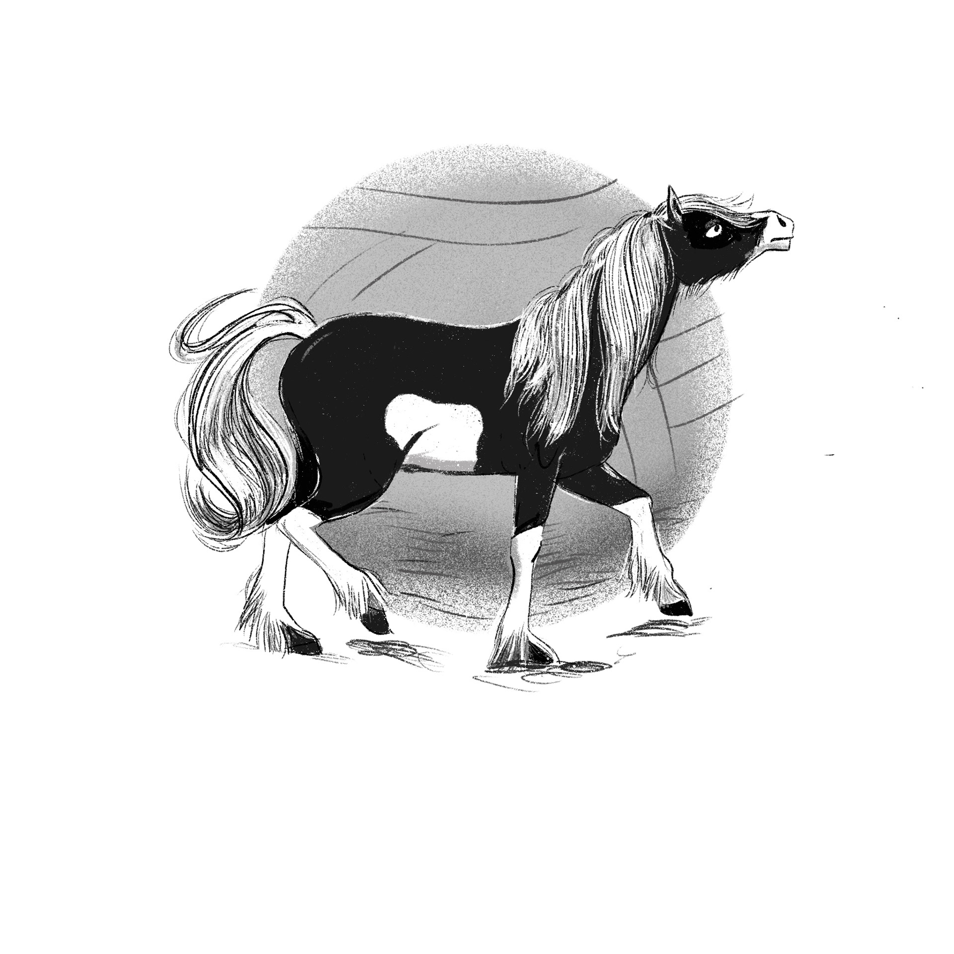 Gracie and the Grumpy Pony ©JoGoodberry2021 ©JoGoodberry2021