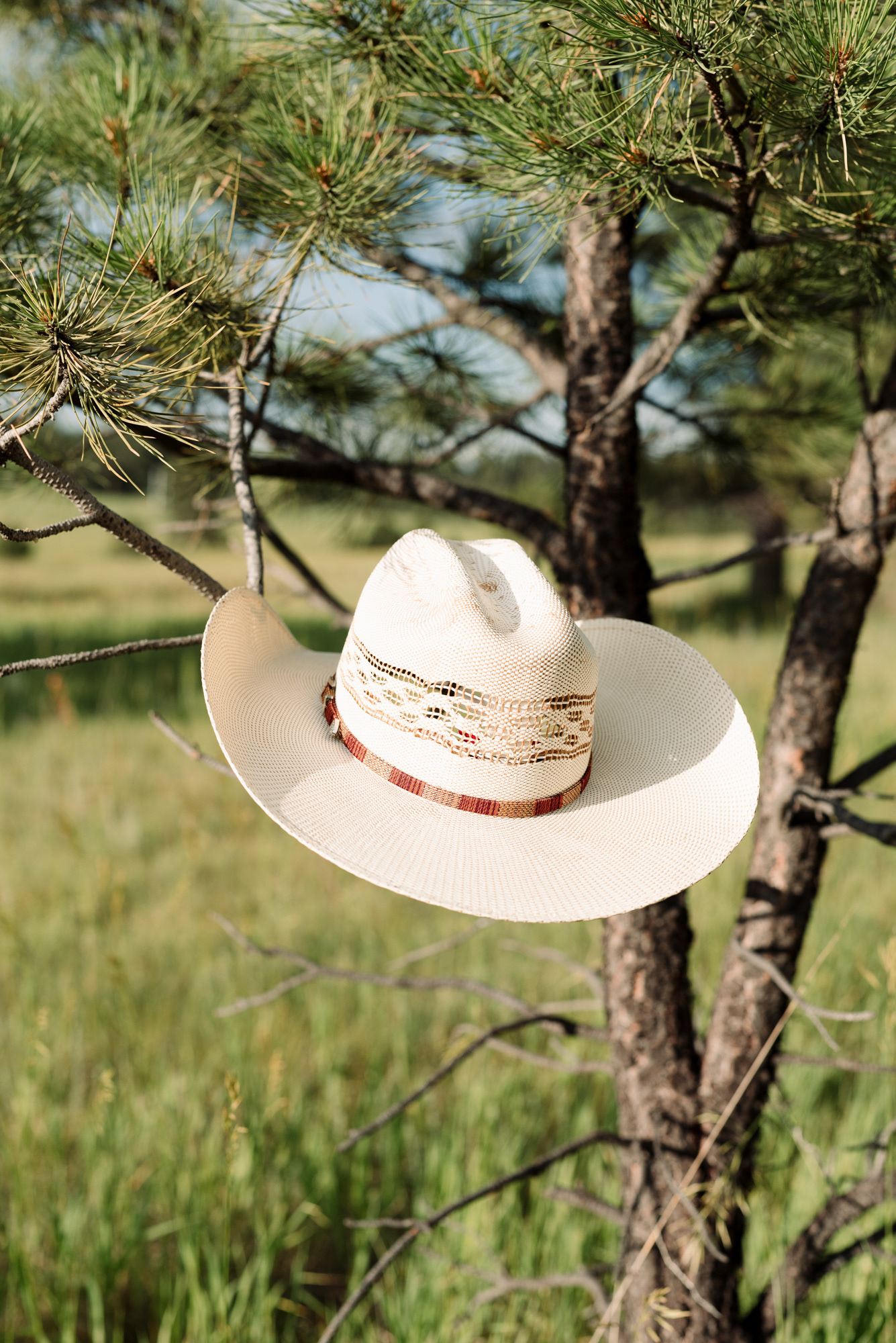 Still life photo of a cowboy hat sitting on a tree.