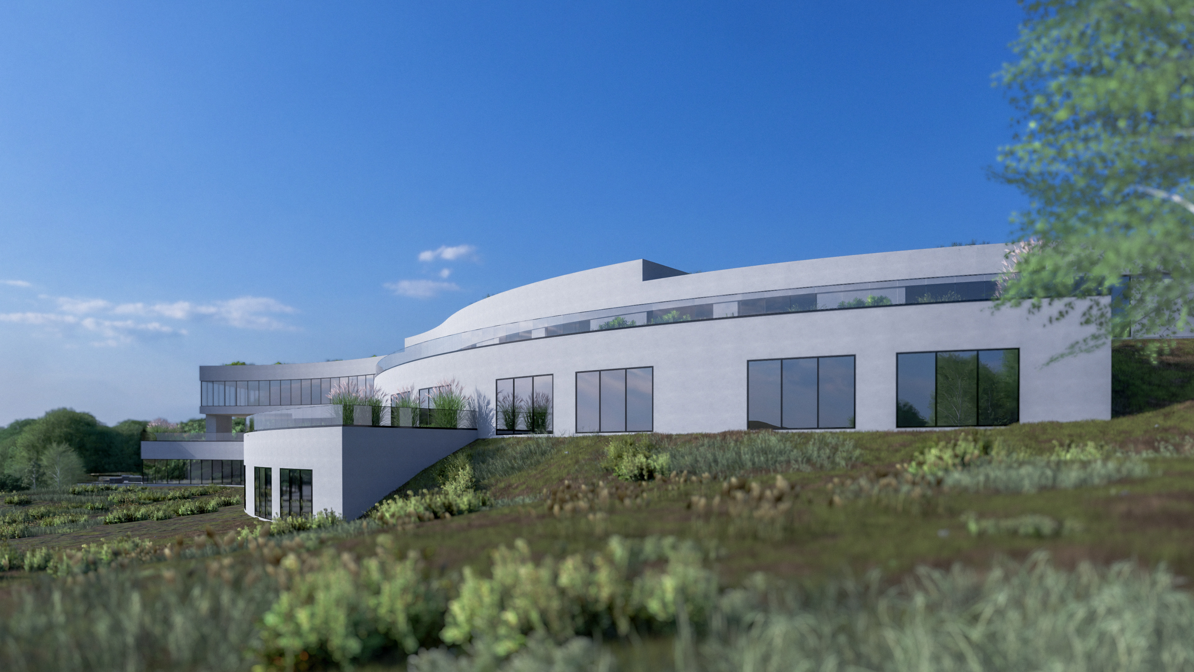 David Bash Design - Interior Office Renderings
