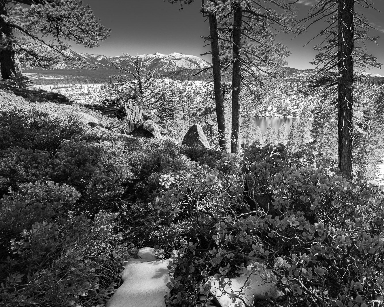 Heavenly View - This wooded mountain view south of Lake Tahoe in Heavenly Valley CA is sprinkled with the last snows of winter in March.