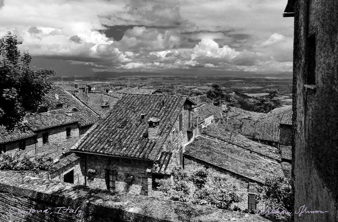 Cortona, Fiorentino