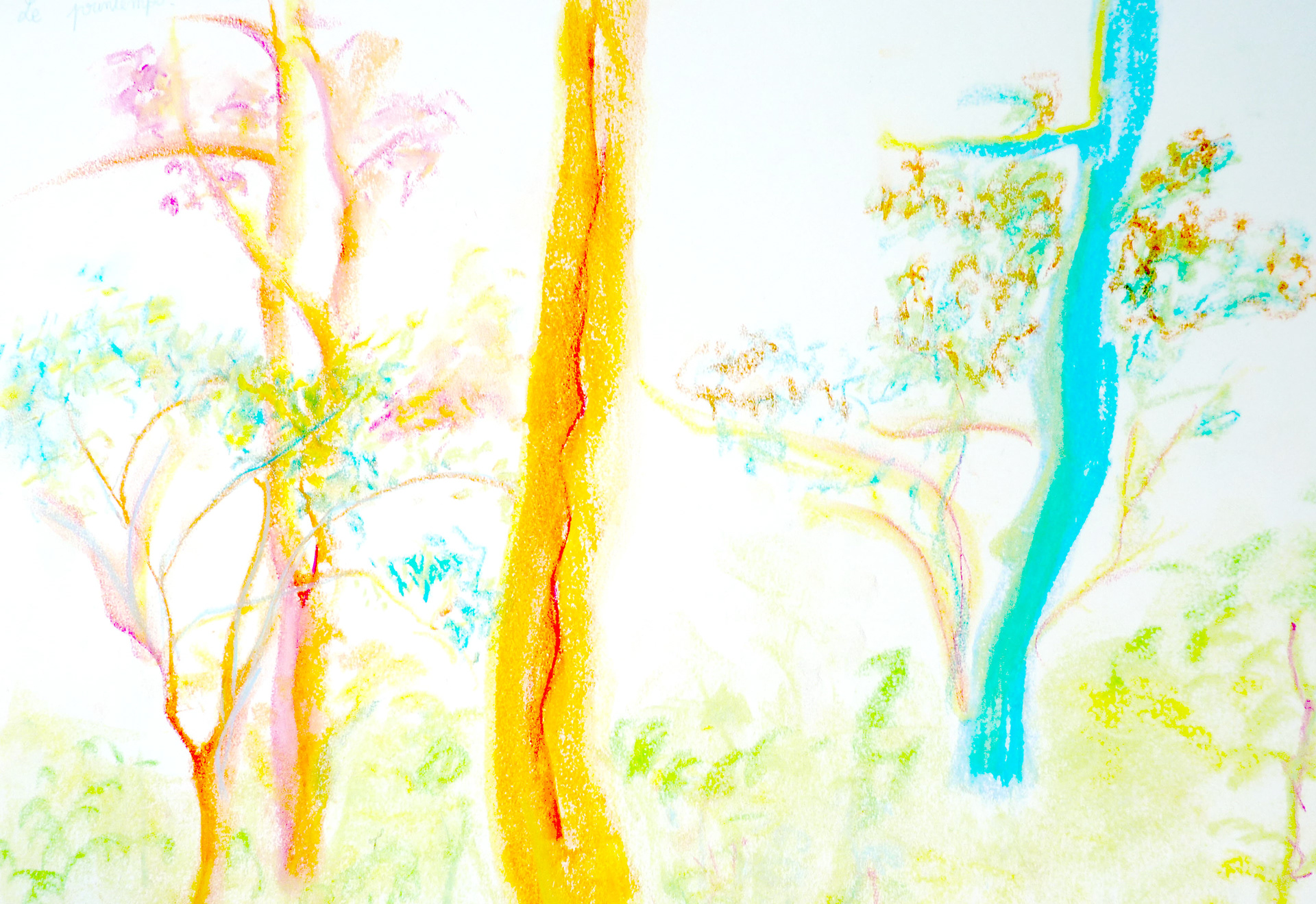 Crayon de couleur