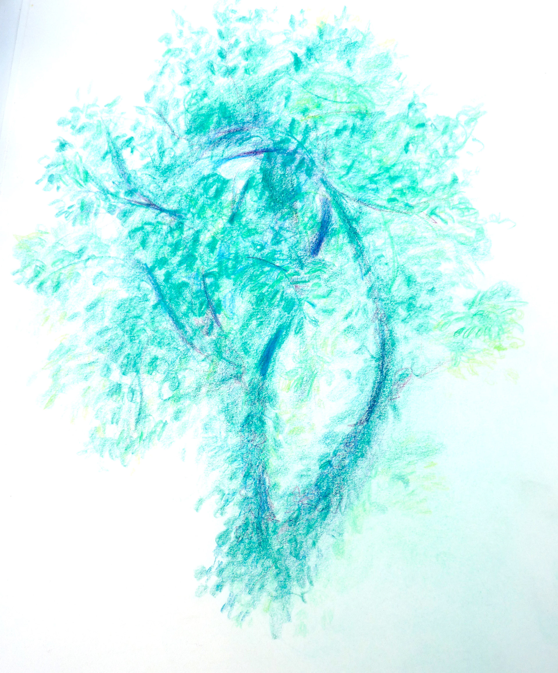 Crayon de couleur