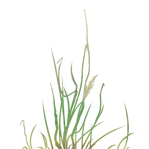grass 2