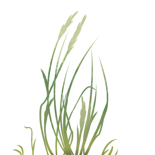 grass 1