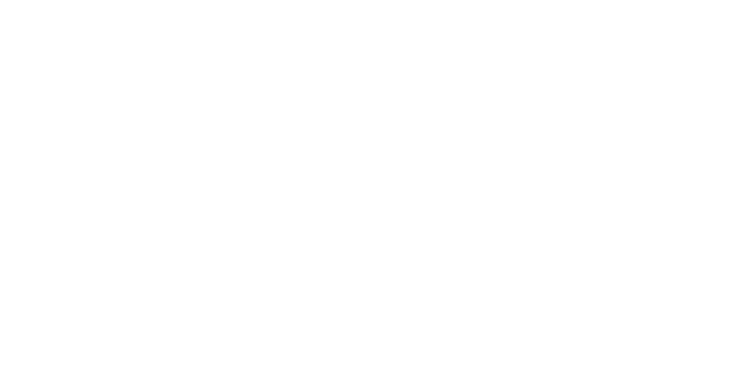 Ariel Mintzer