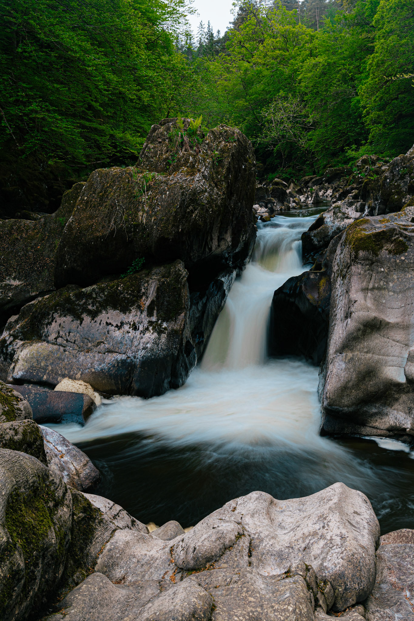 River Brann