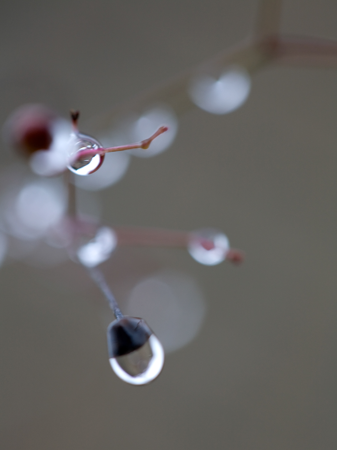 water, 003