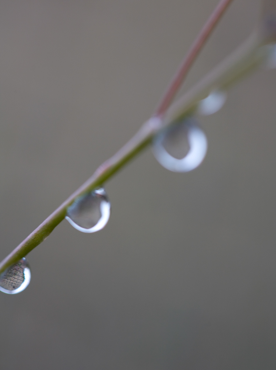 water, 002
