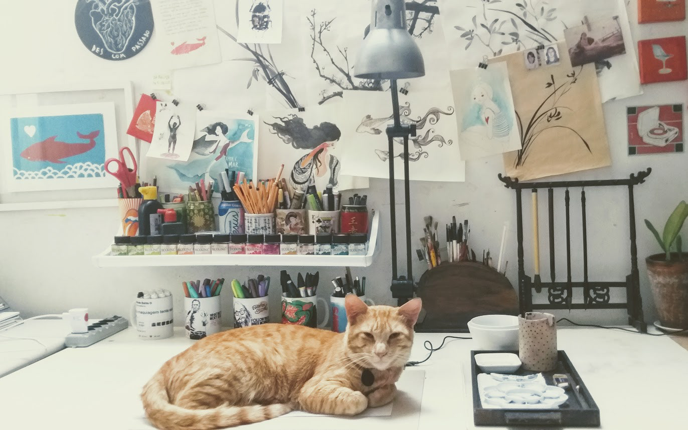 Chamequinho, o gato-de-estúdio