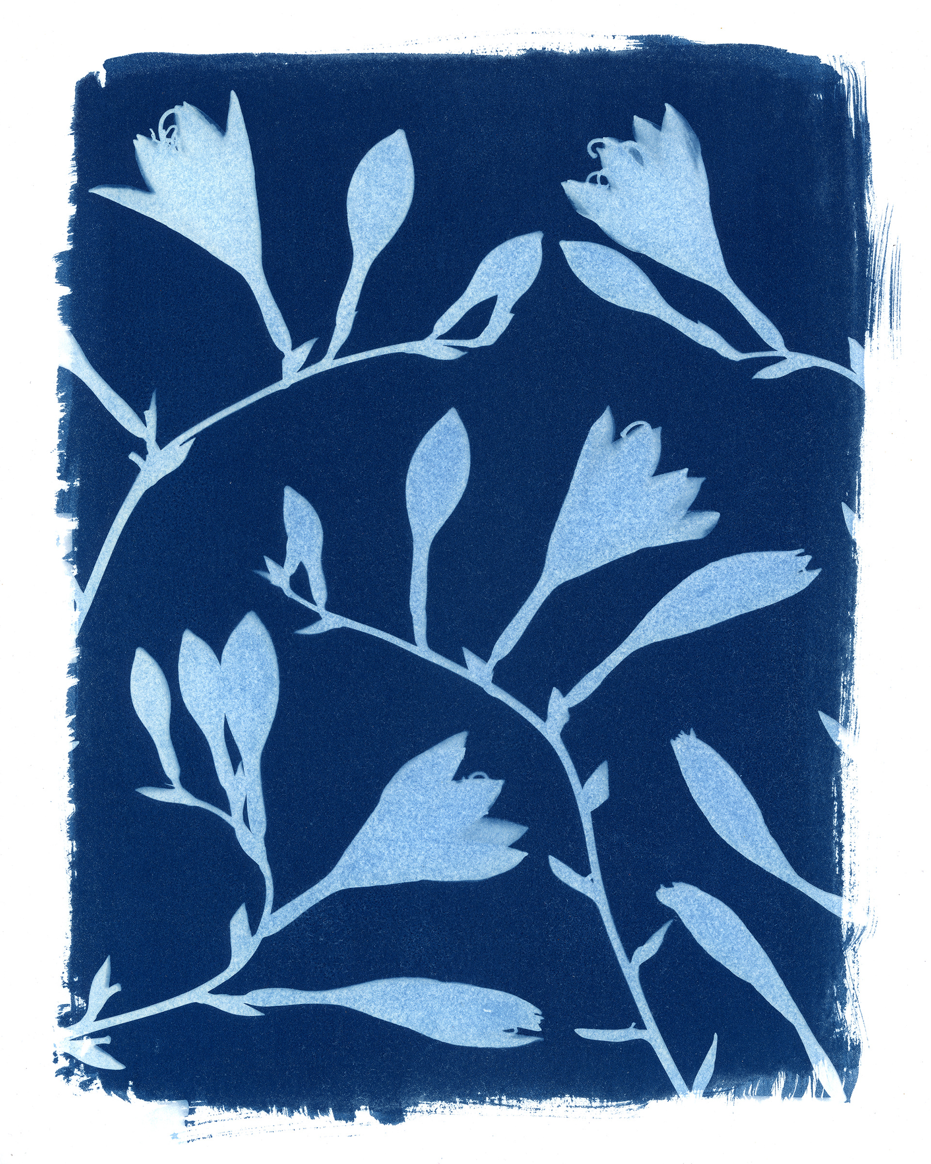 "Hostas Ascent" || 2026 || 8x10"