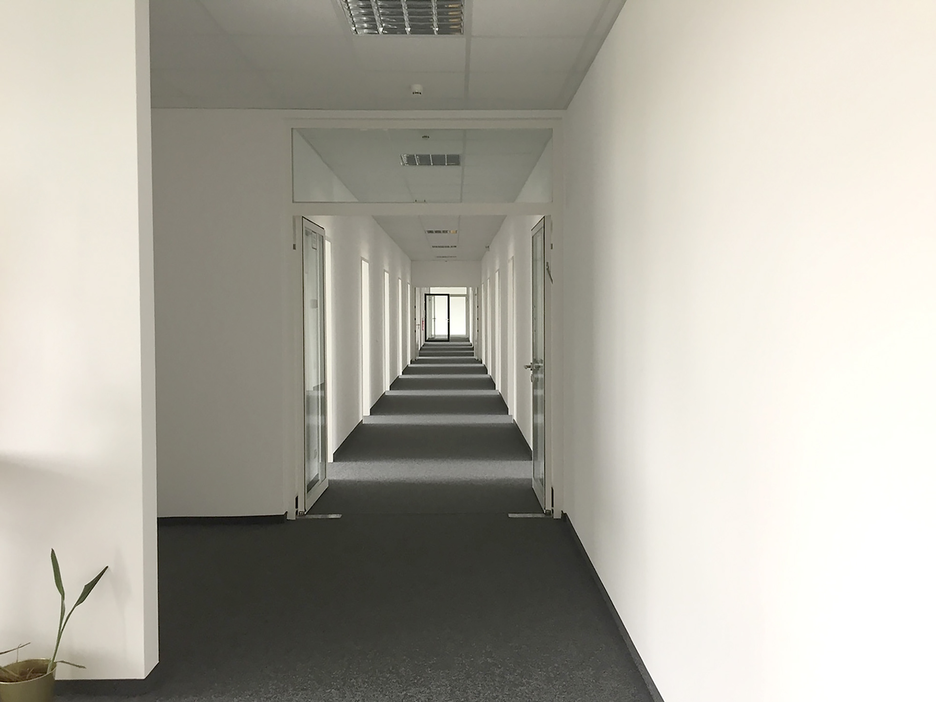 Bürostruktur vor der Umgestaltung