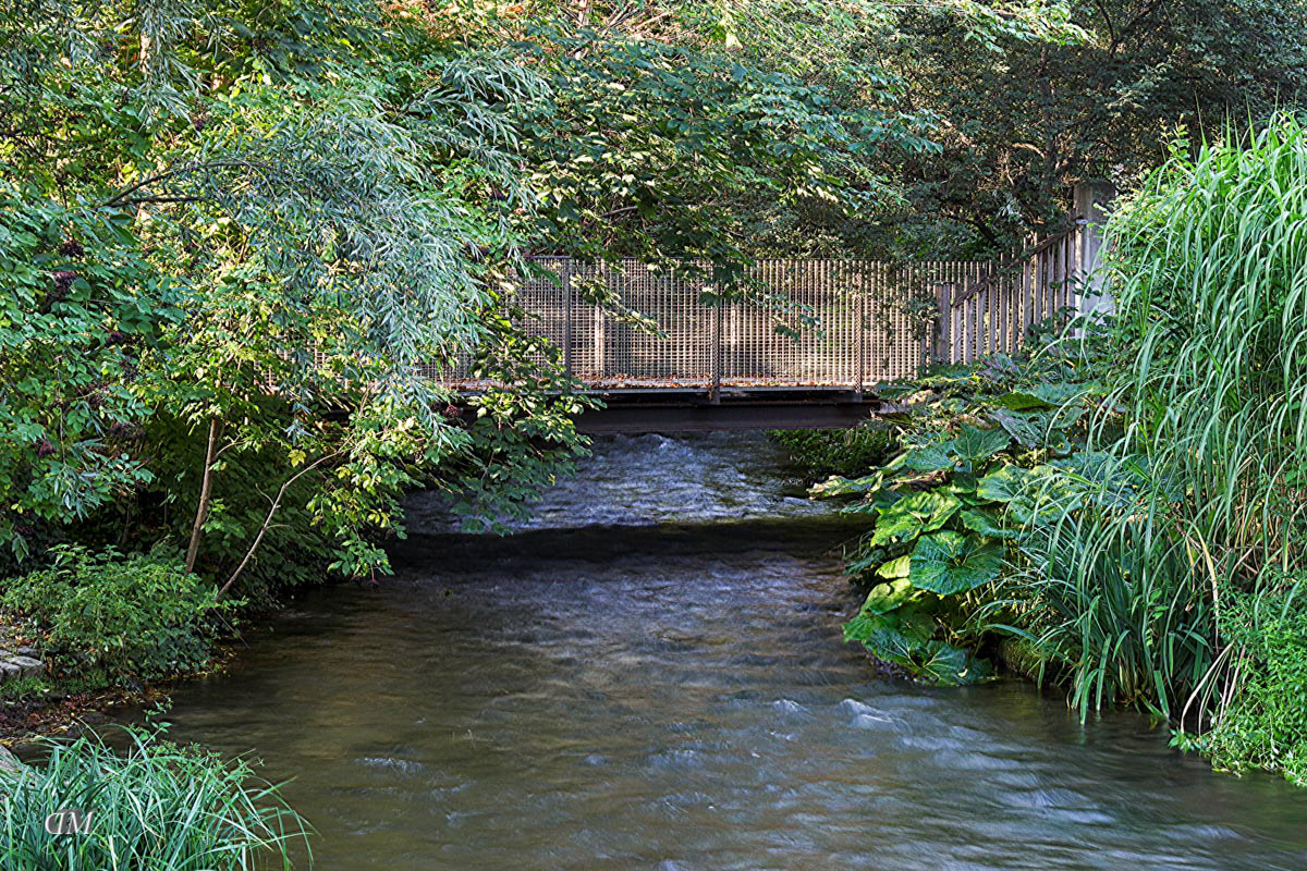 Brücke vor der kleinen Petermühle
