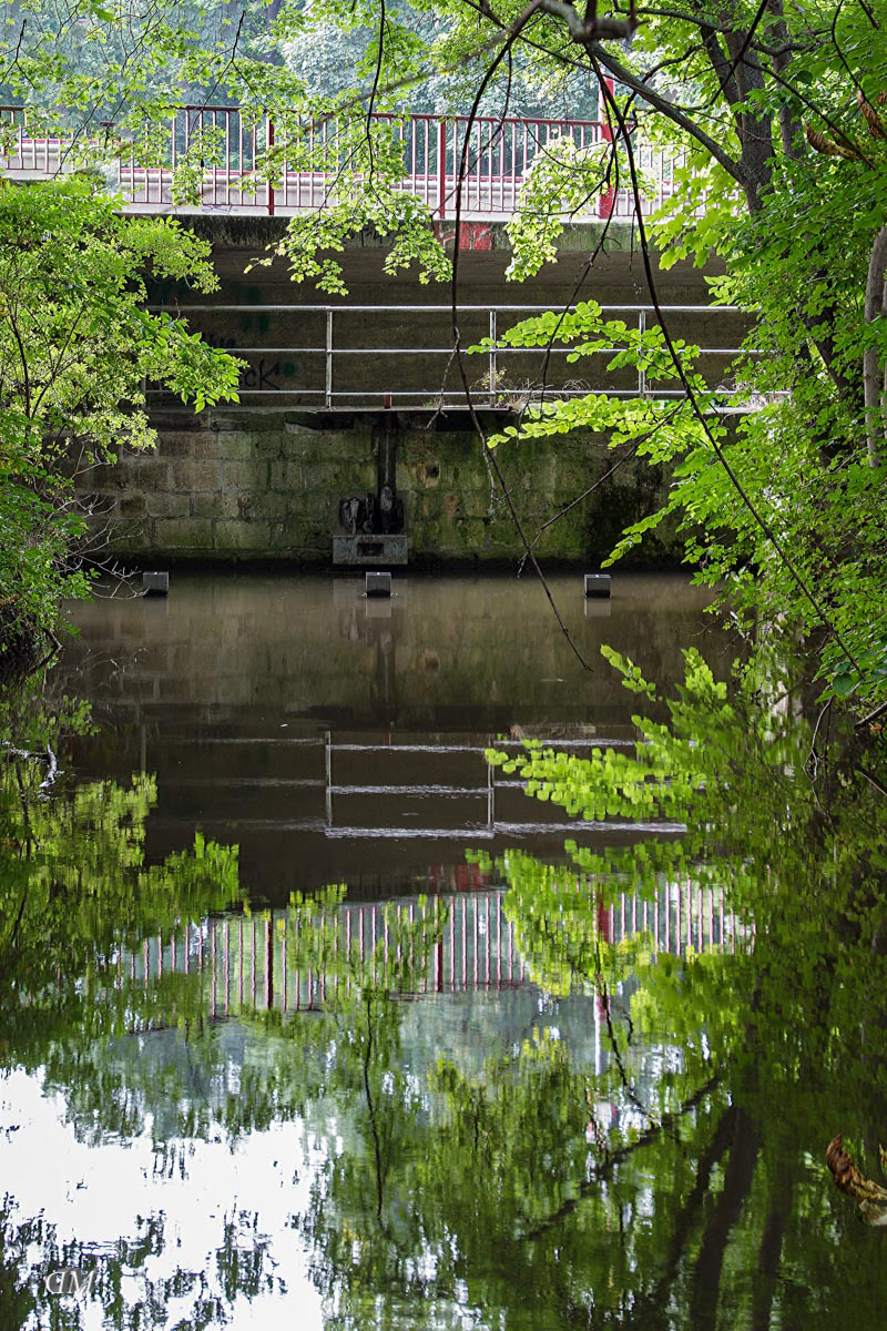 Auslauf