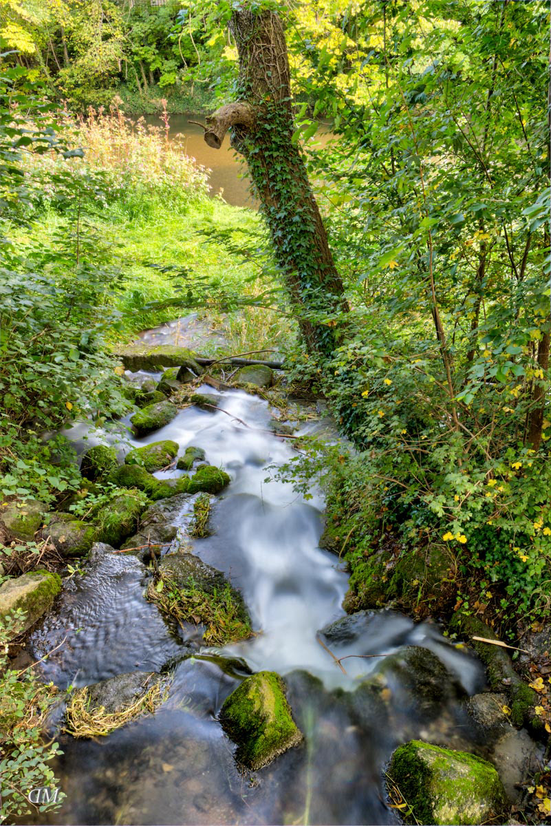 Die Klinge