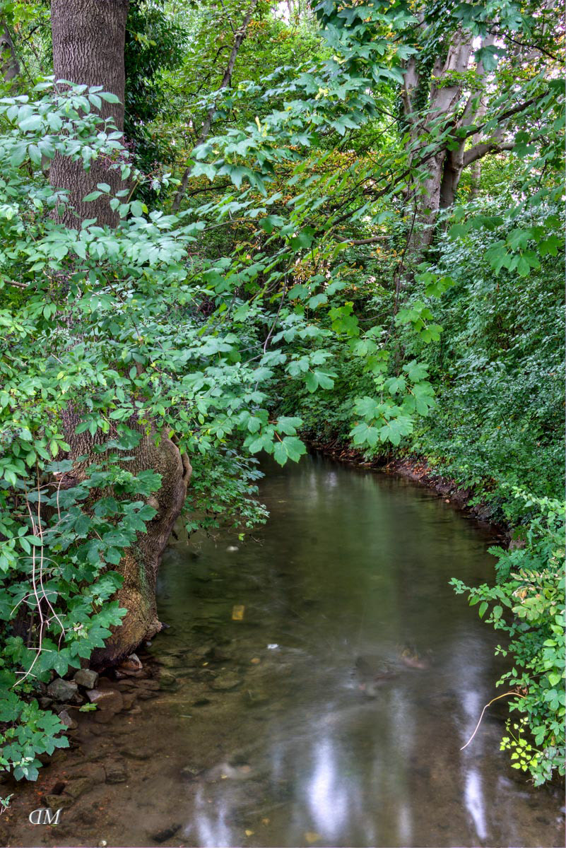 Der dunkle Weg zum Dünker